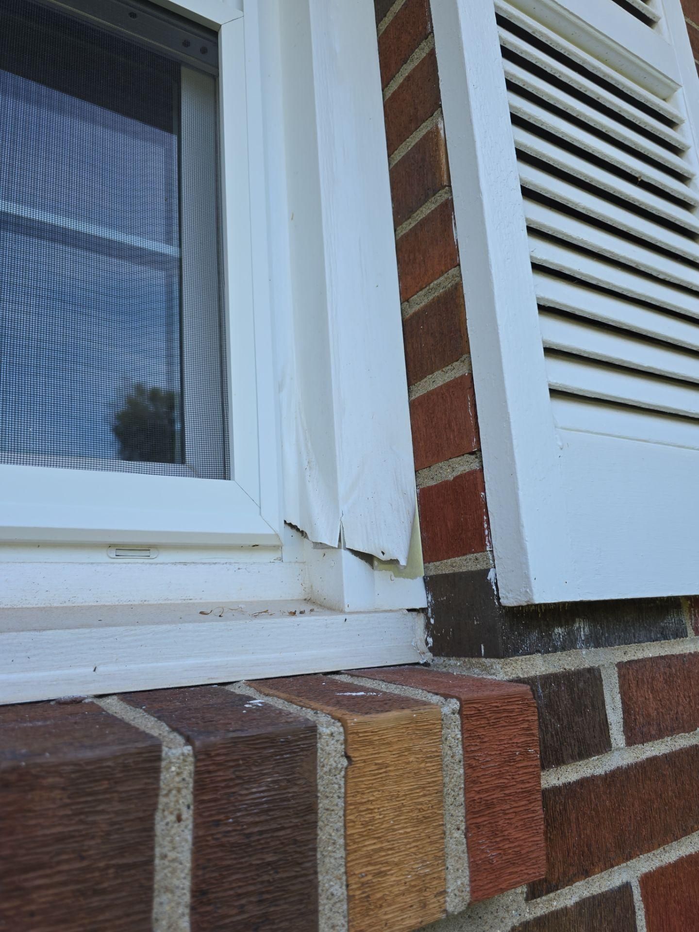  for ProMaster Painting in Clarksville, TN