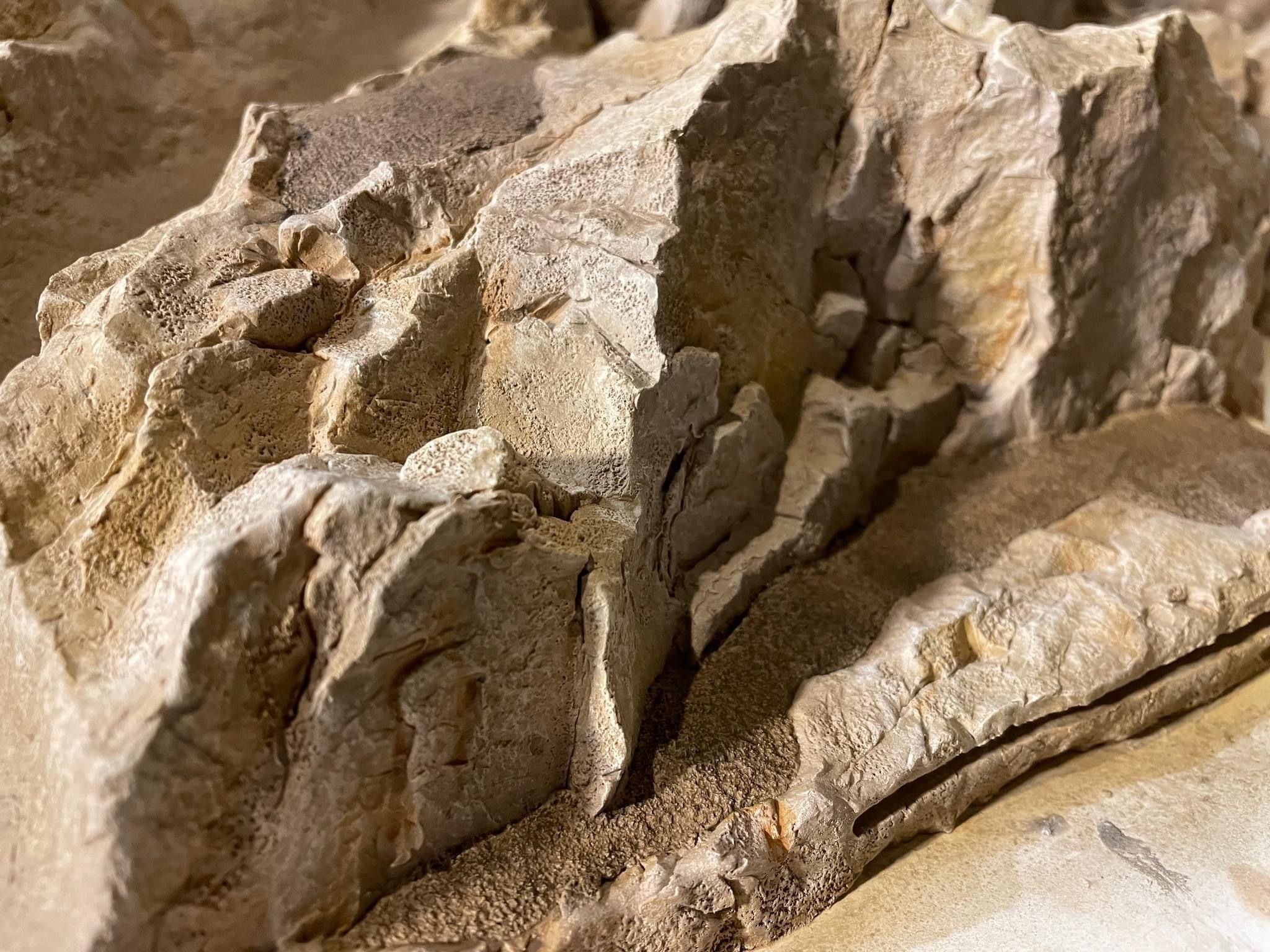  for Texas Curb N Borders in Houston, TX