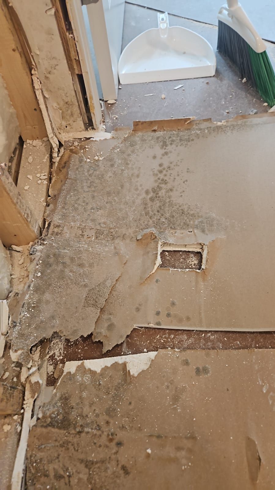  for N&D Restoration Services When Disaster Strikes, We Come In in Cape Coral,  FL