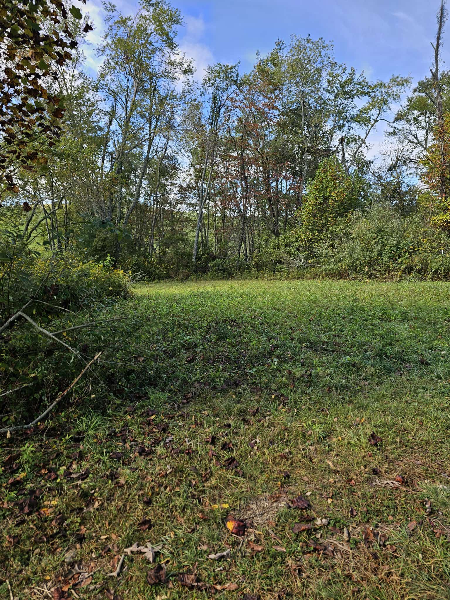  for Mountain Goat Land Management in Galax, VA