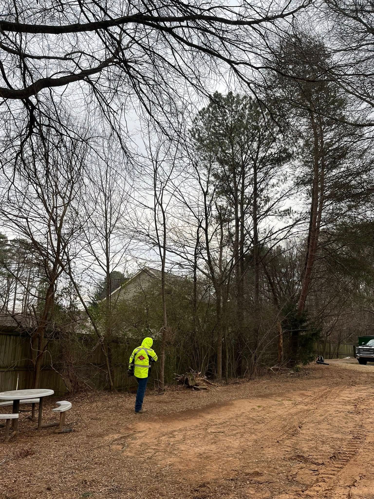 Tree Removal for J&M Stump Grinders LLC in Douglasville, GA