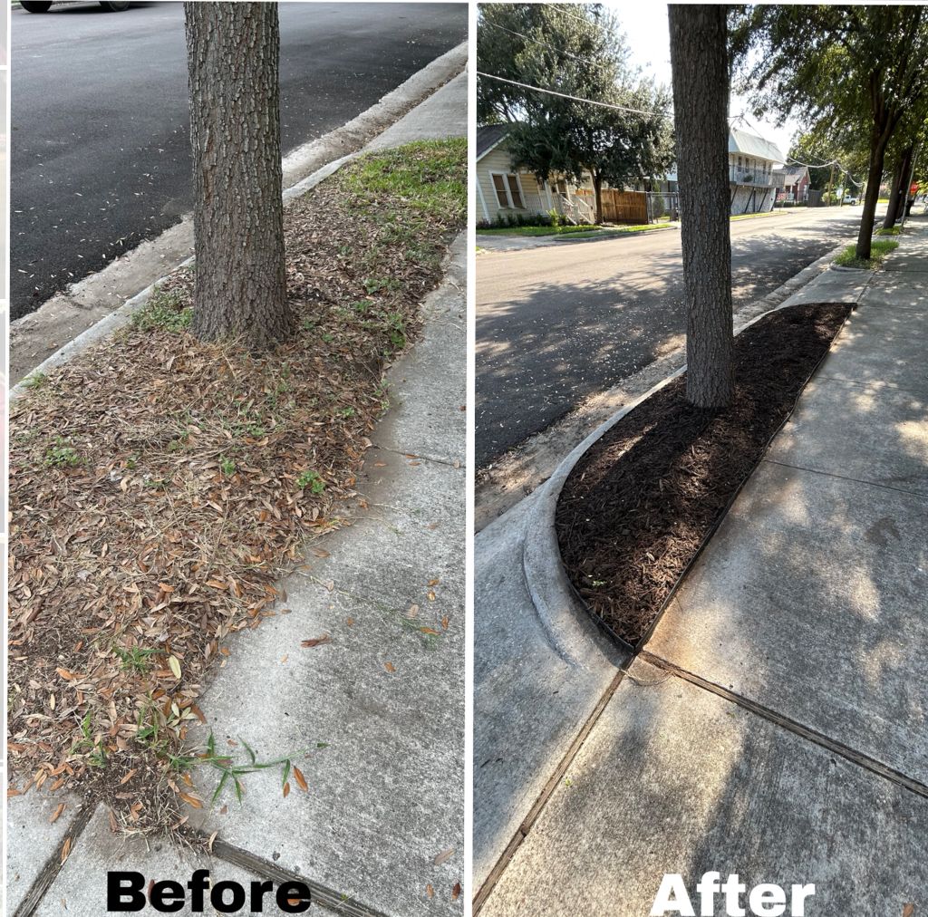  for Faith LEC Services LLC in Houston, TX