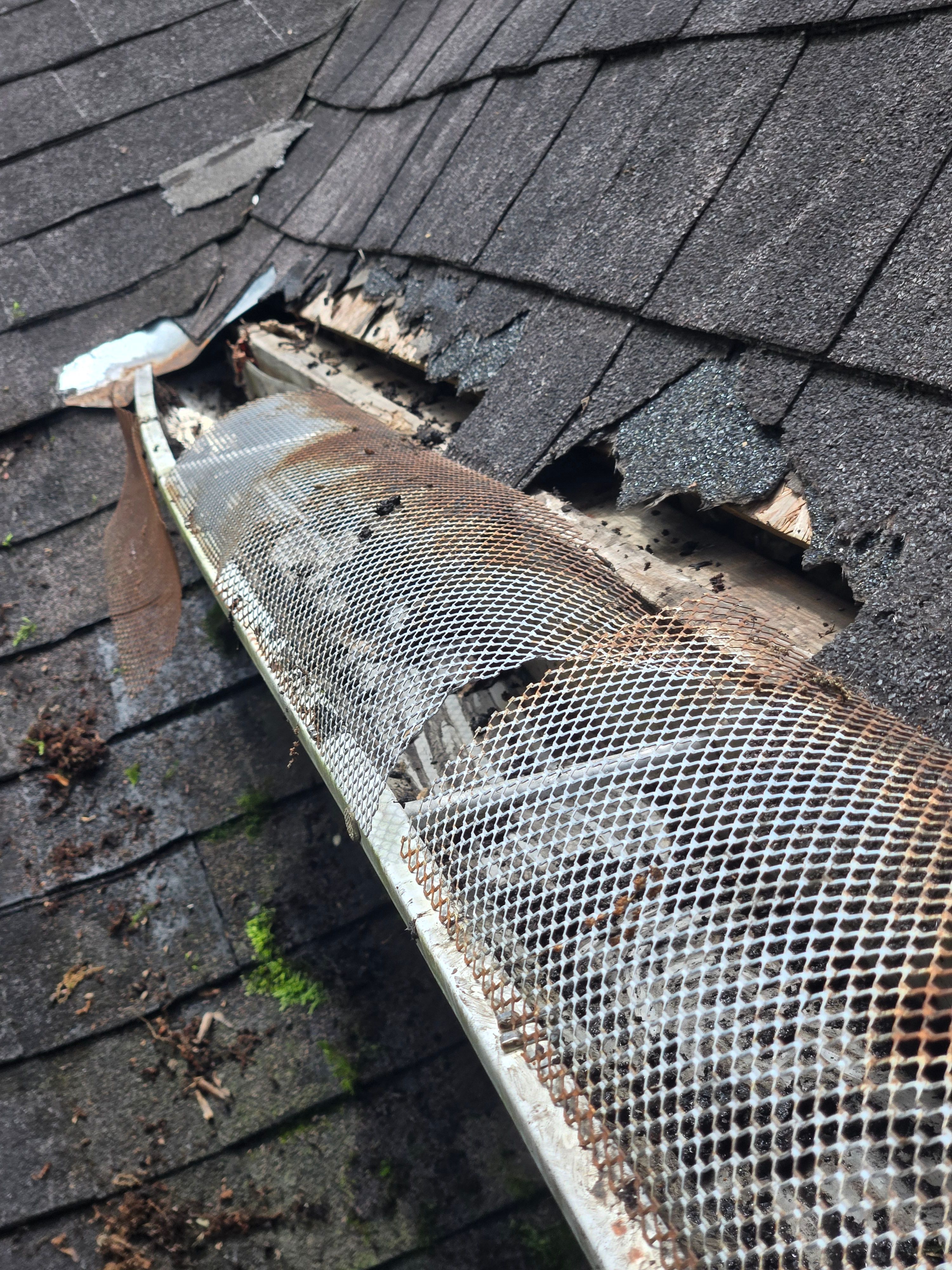  for Squeaky Clean Windows Gutters & More in Hoover, AL