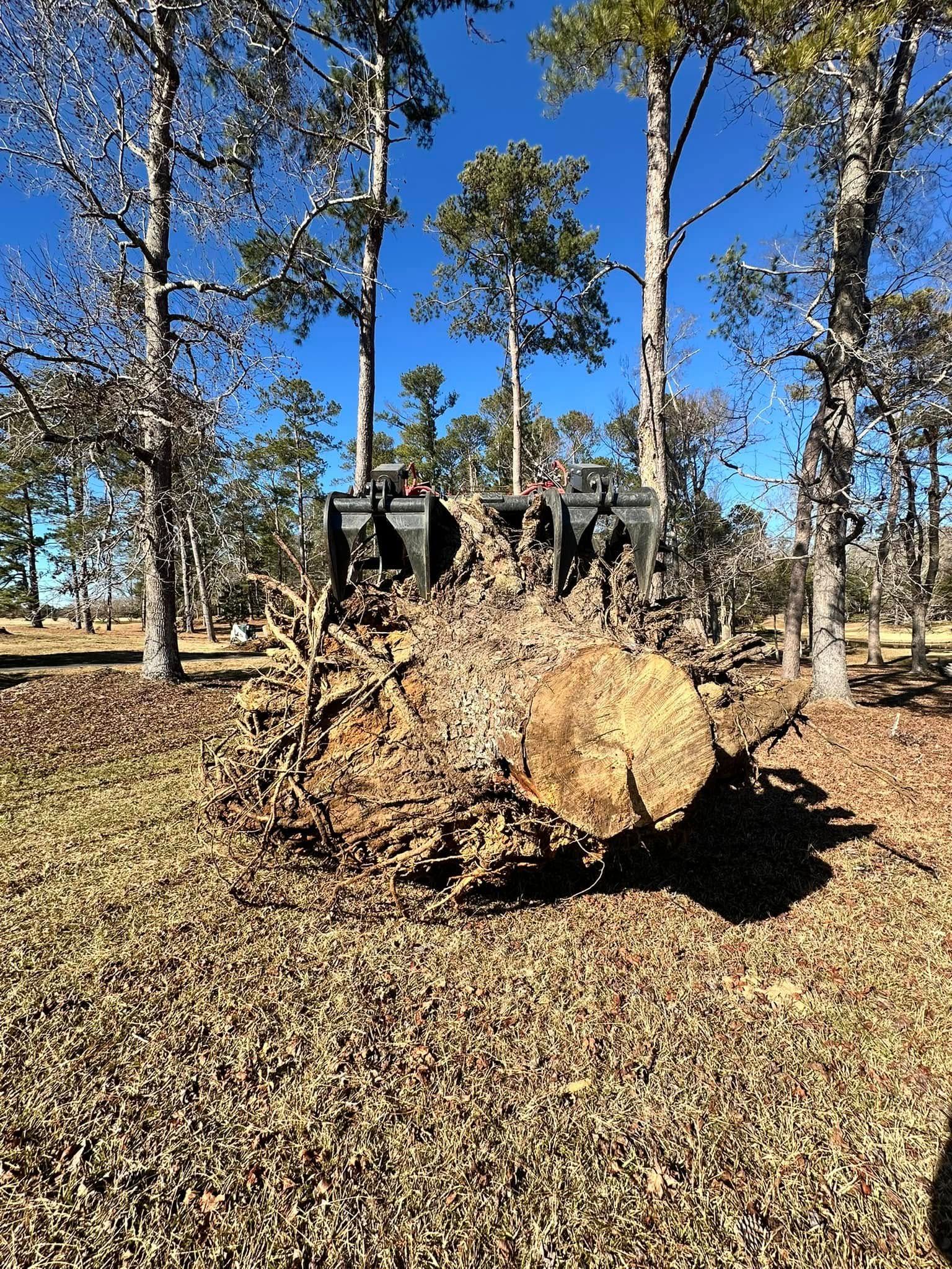 Tree Removal for Page Outdoor Services in Wrightsville, GA