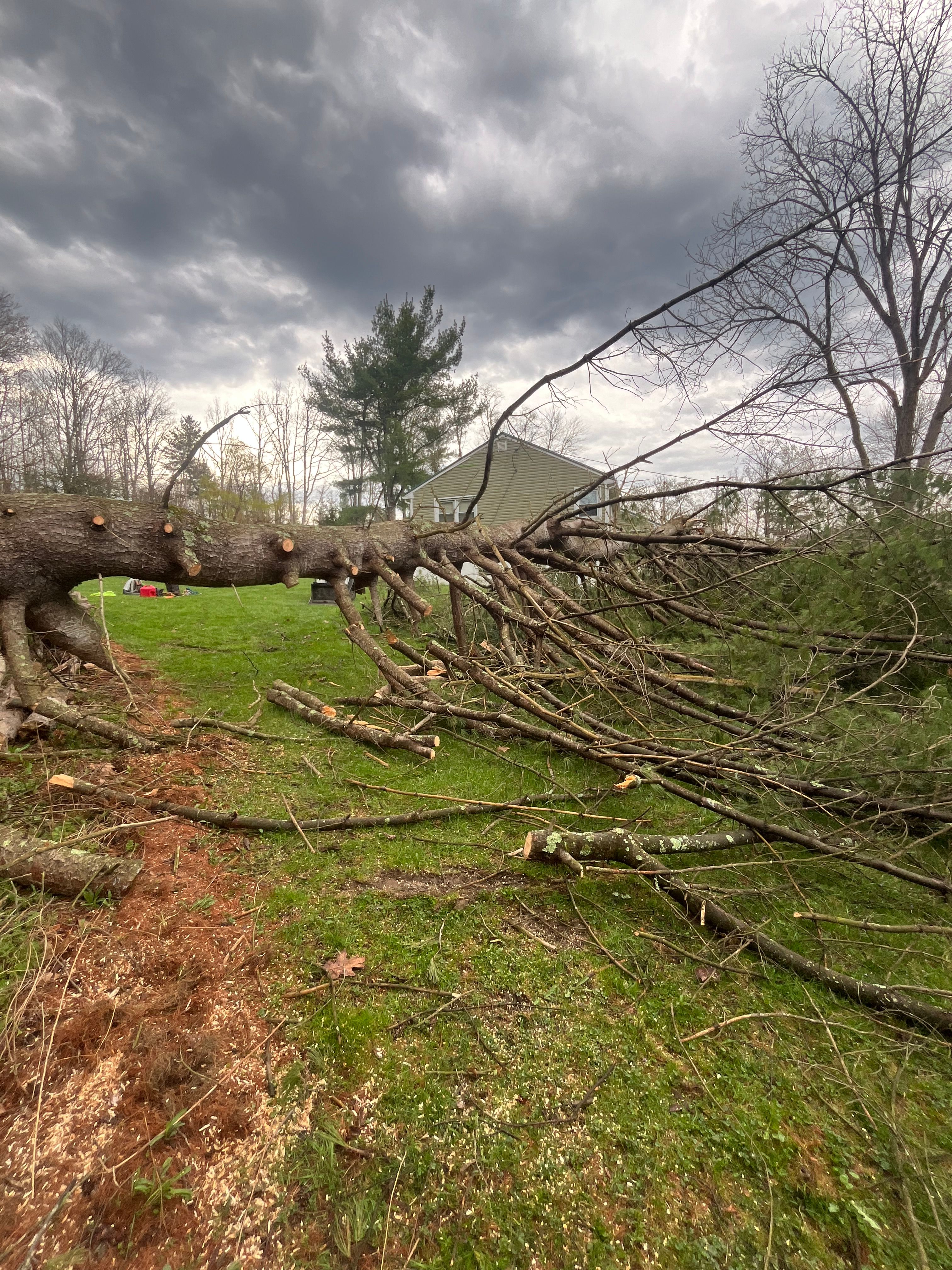 All Photos for Licensed to Cut Tree Service in Athens, PA
