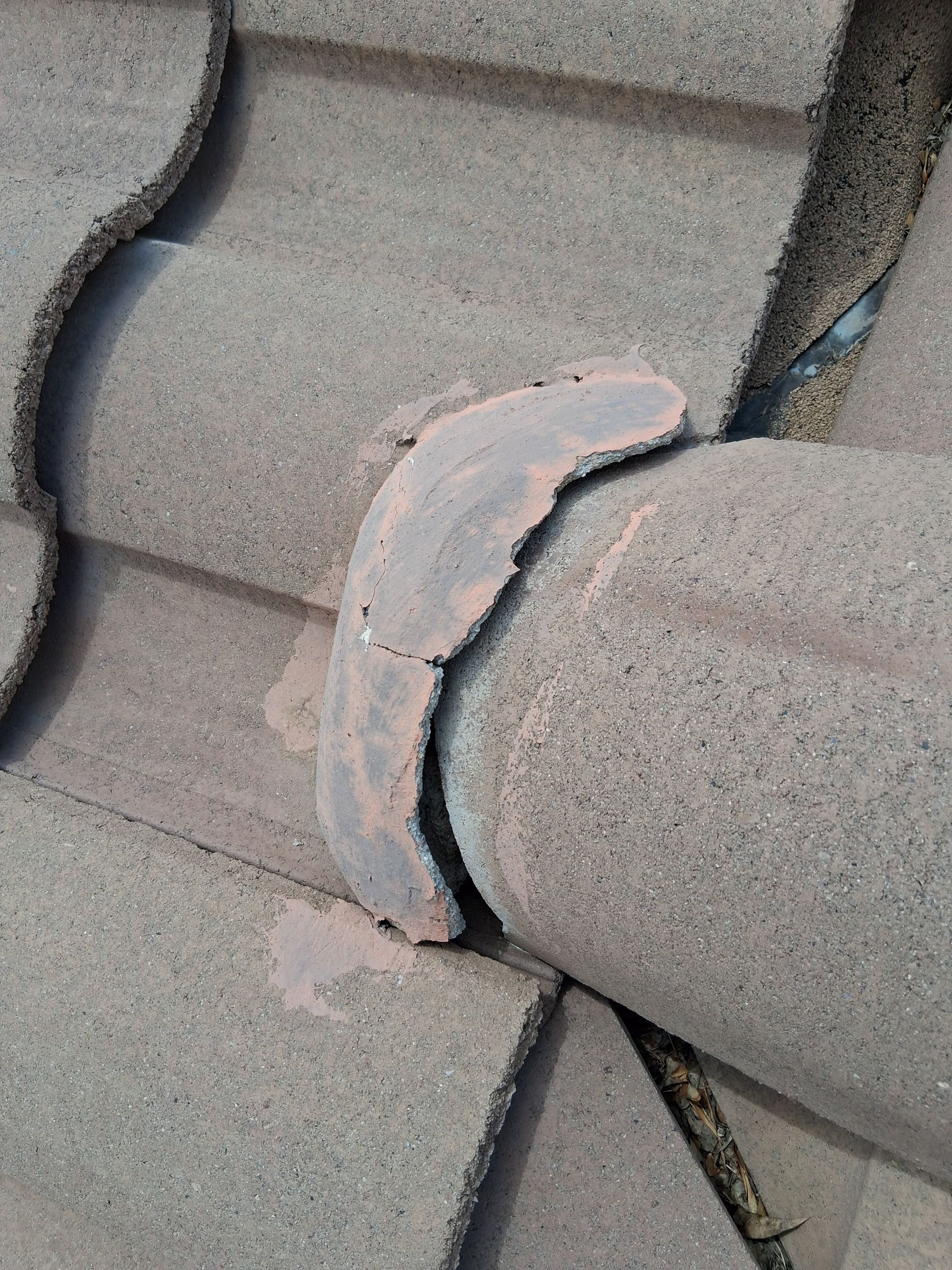  for Olson & Sons Contracting in Mesa, AZ