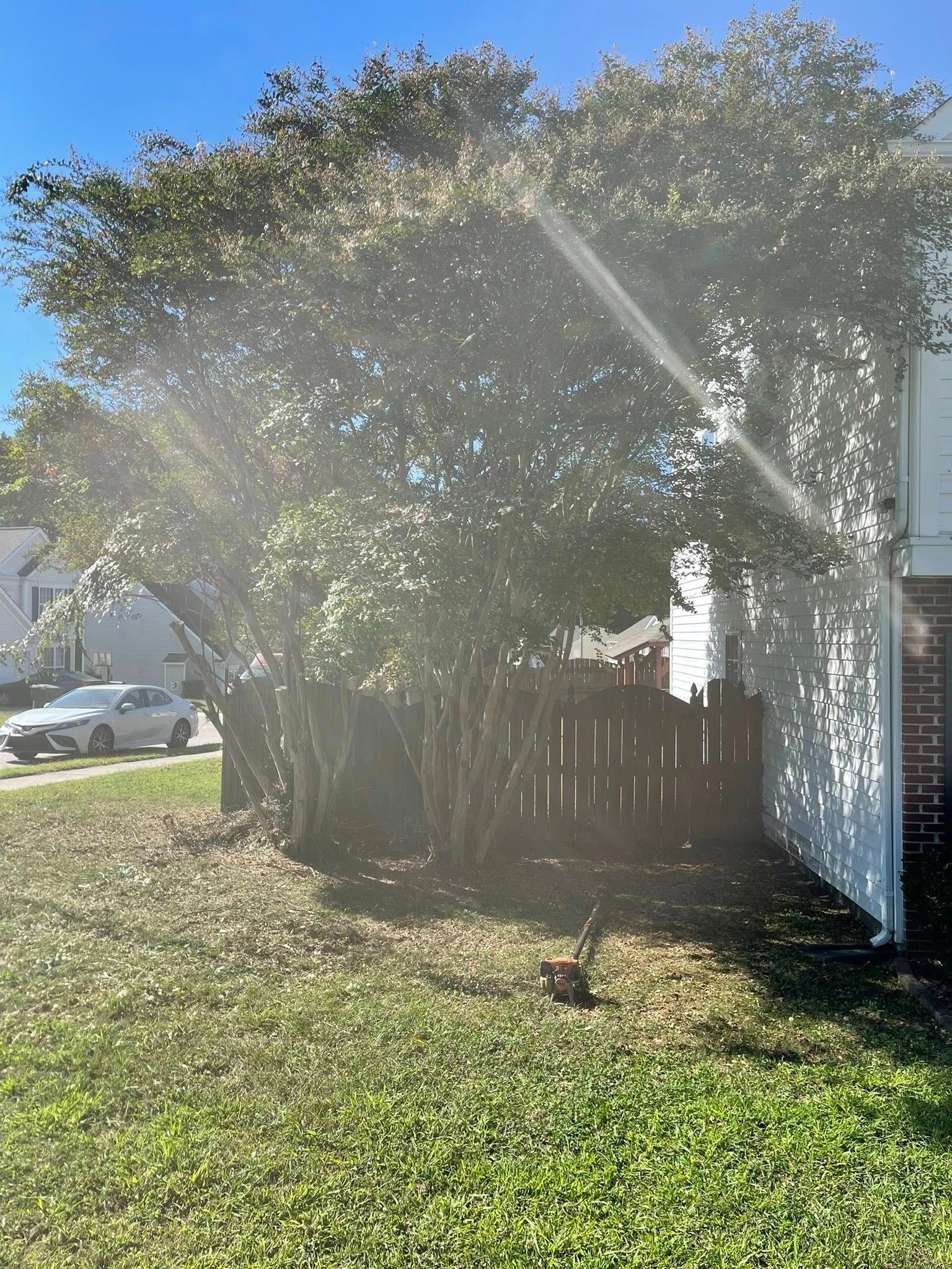  for J&J Tree Services in Raleigh, NC