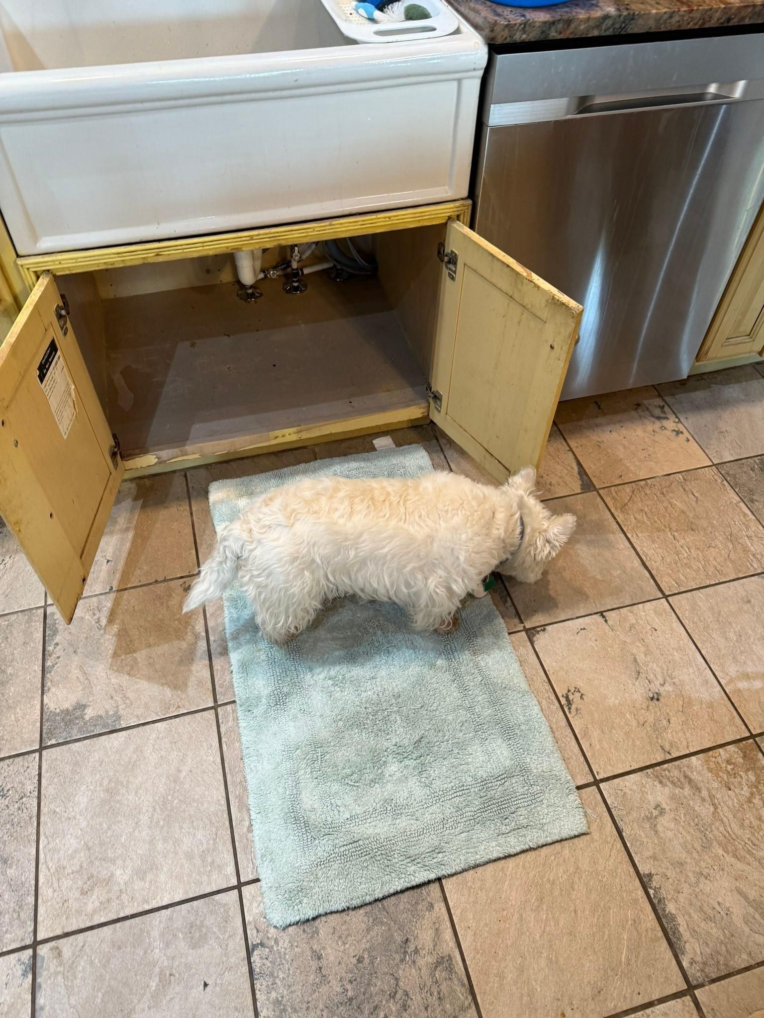  for V.I.P Plumbing in Sandpoint, ID