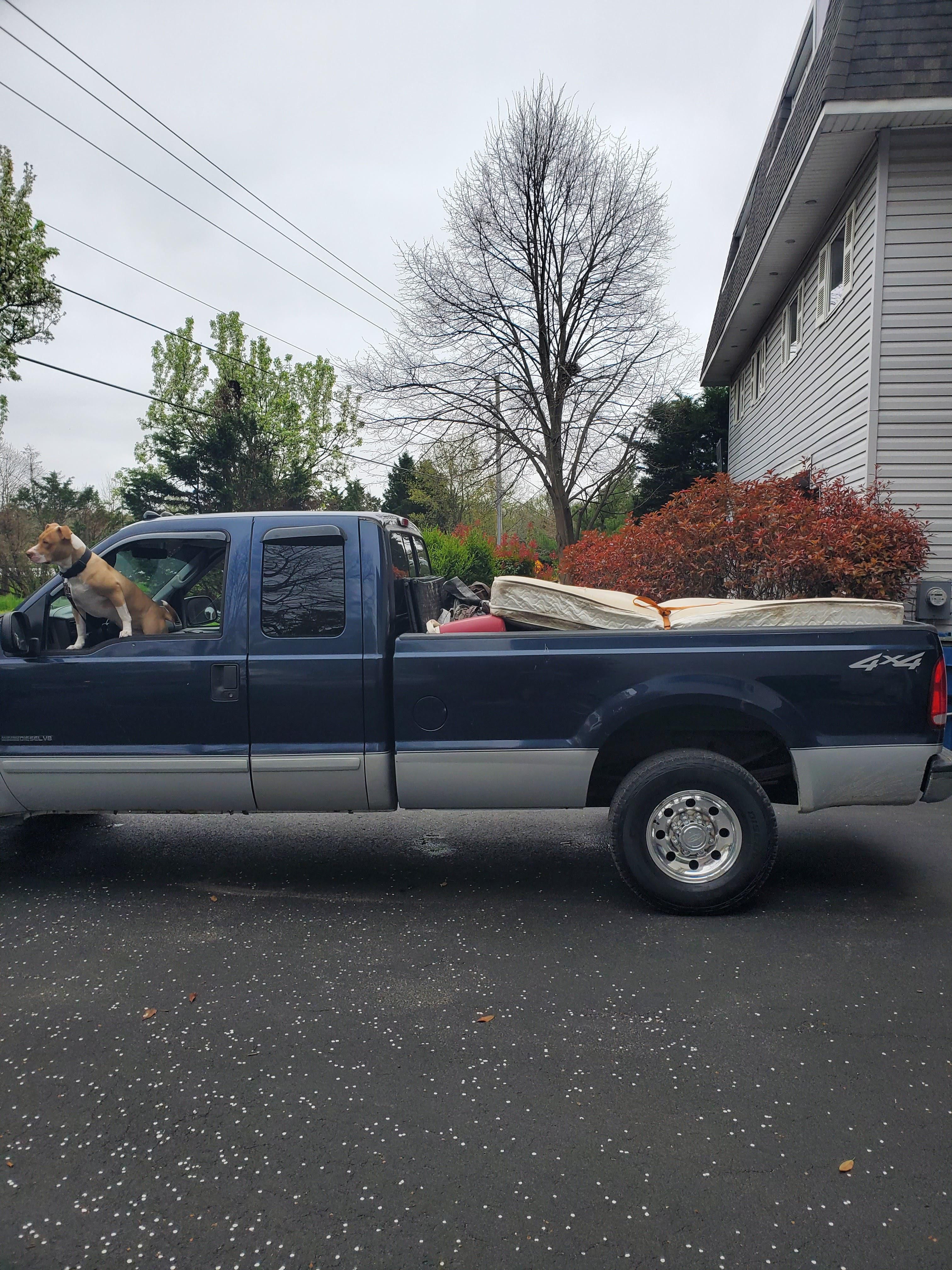  for Turtle's Haul-Away & Junk Removal in Stevensville, MD