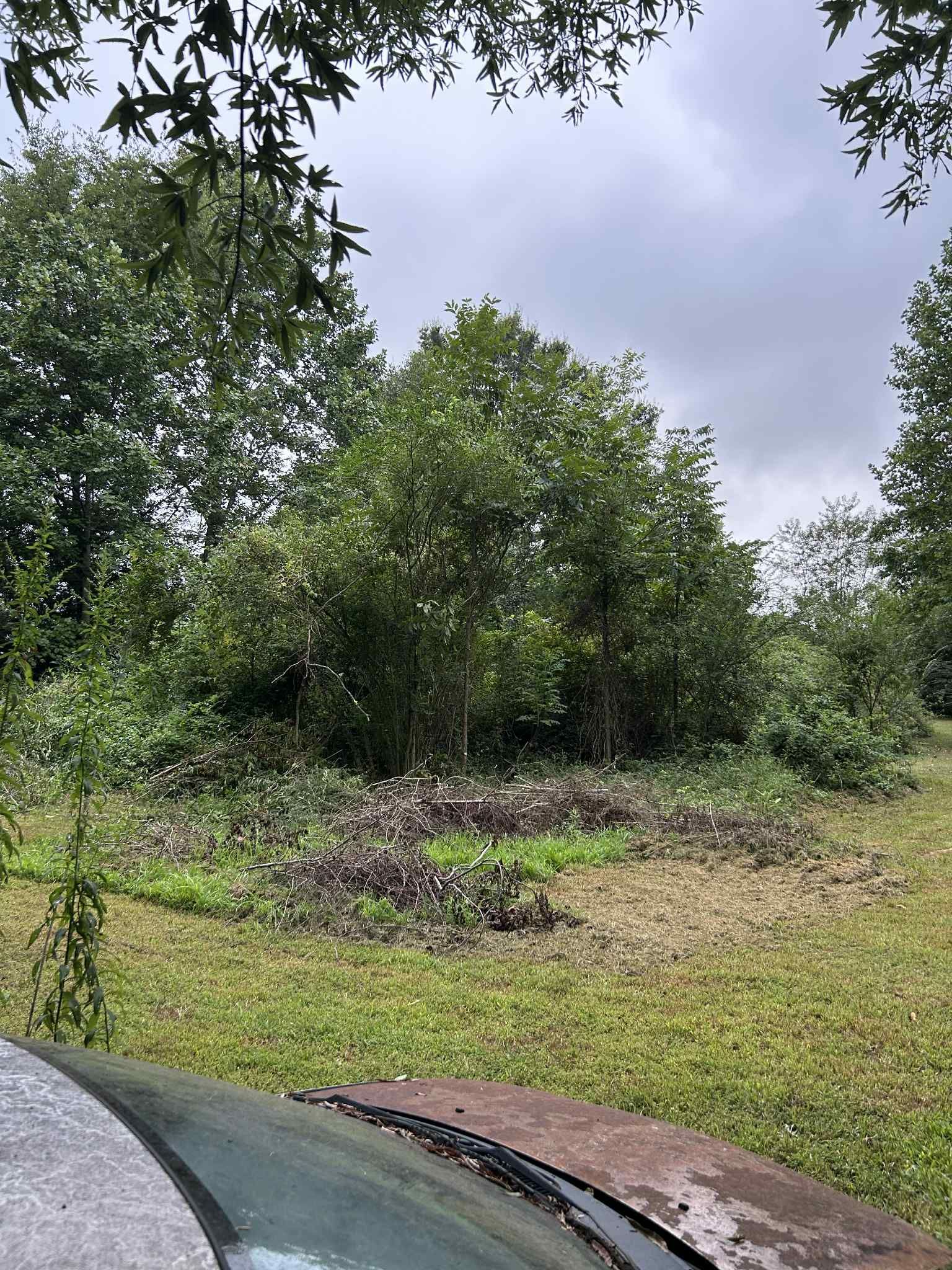  for Z's Land Management & Forestry Mulching in Smithville, TN