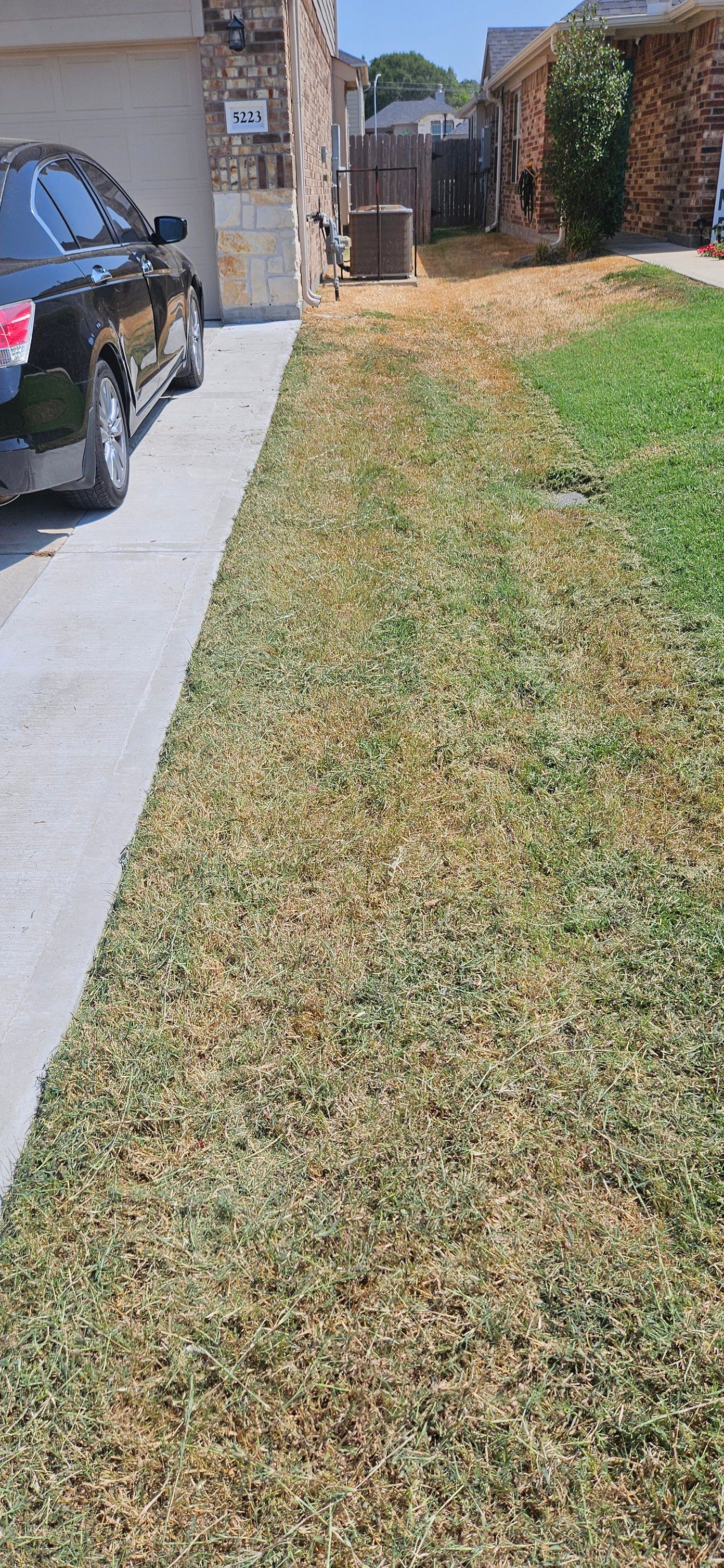 All Photos for Gulf-Tex Lawn Care in Baytown, TX