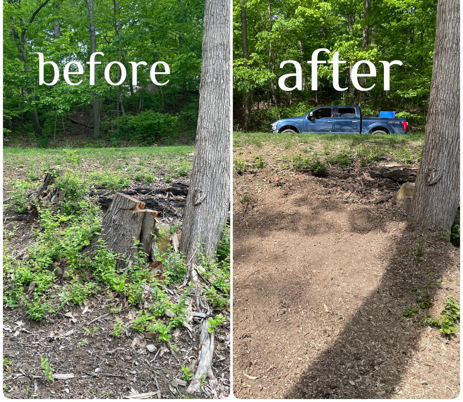  for H&H Stump Grinding in Chillicothe, OH