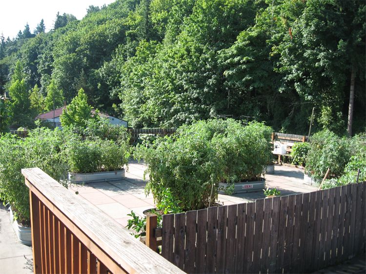 Garden Roofs for Anderson Roofing in Portland, OR