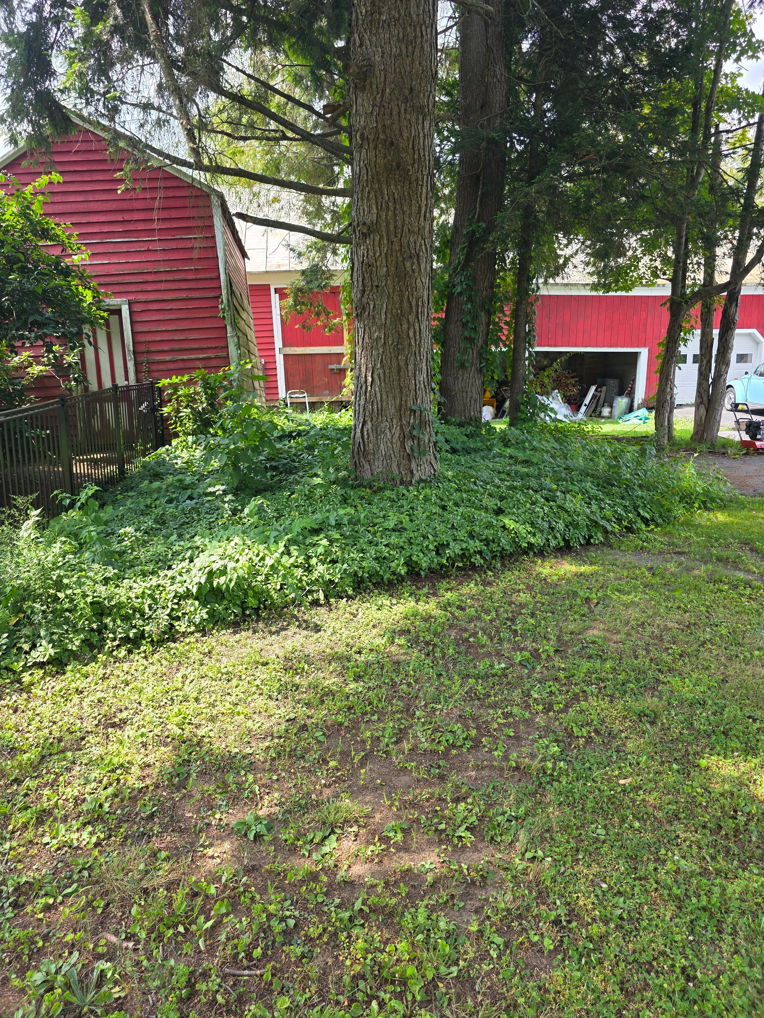  for Sweet Scapes in Ballston Spa, NY