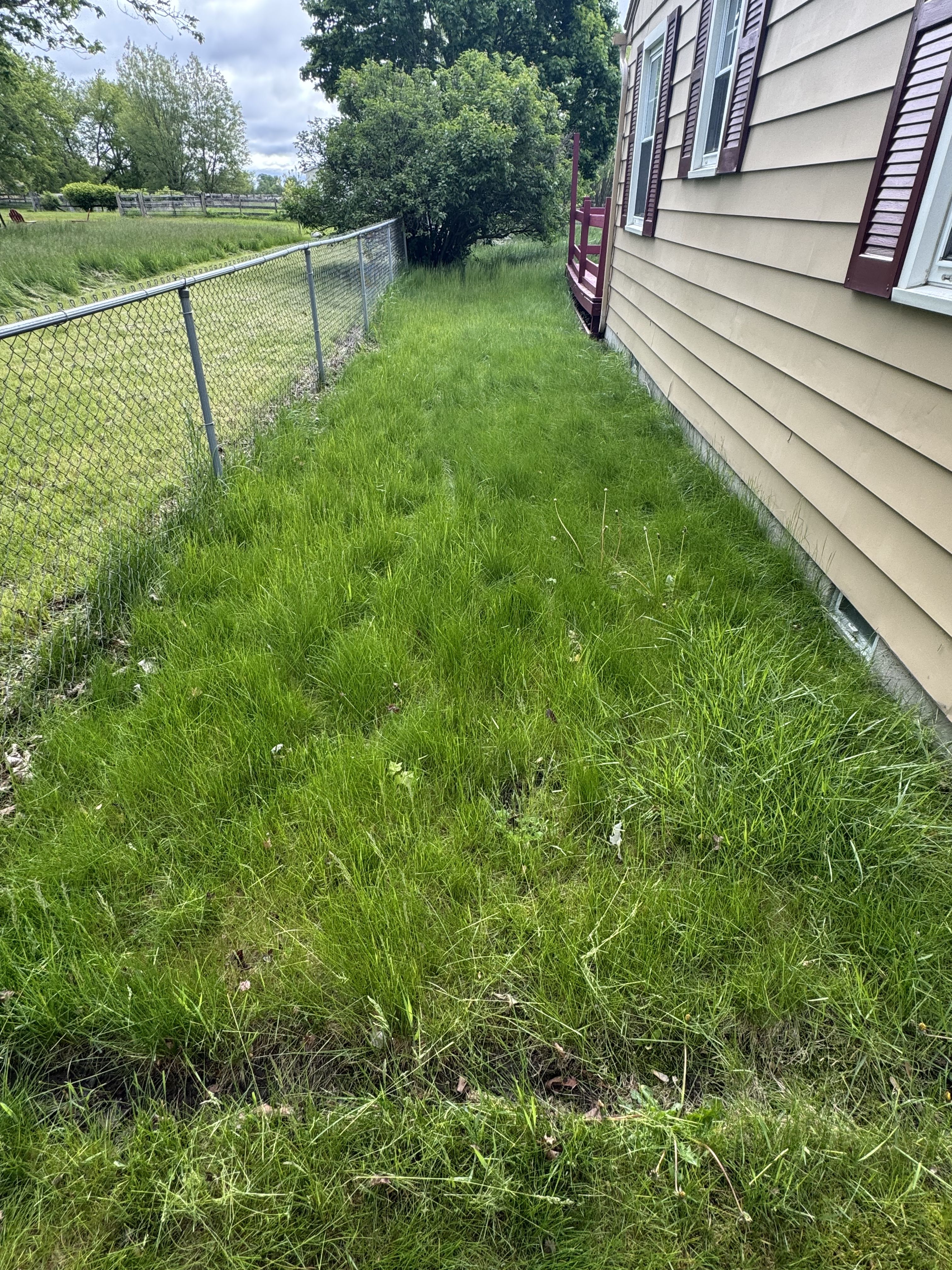  for Daugherty's Tough Lawn Care in Essexville, MI
