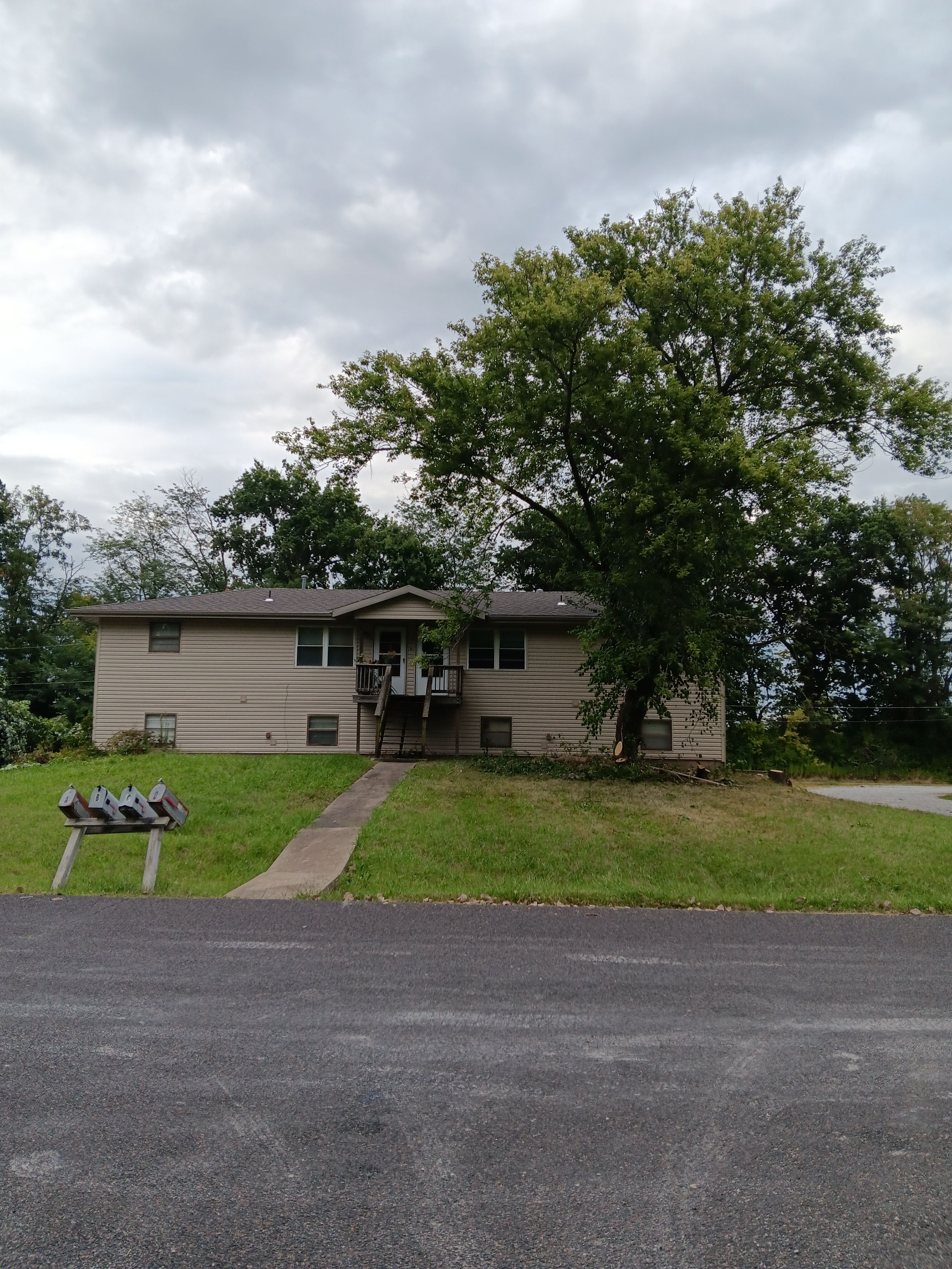  for Sky High Tree Service in Columbia, MO