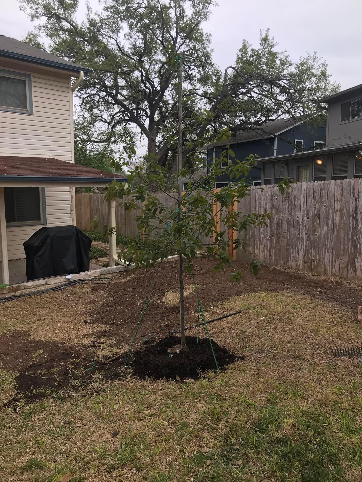  for Camerons Stump Grinding & Tree Services in Austin, TX