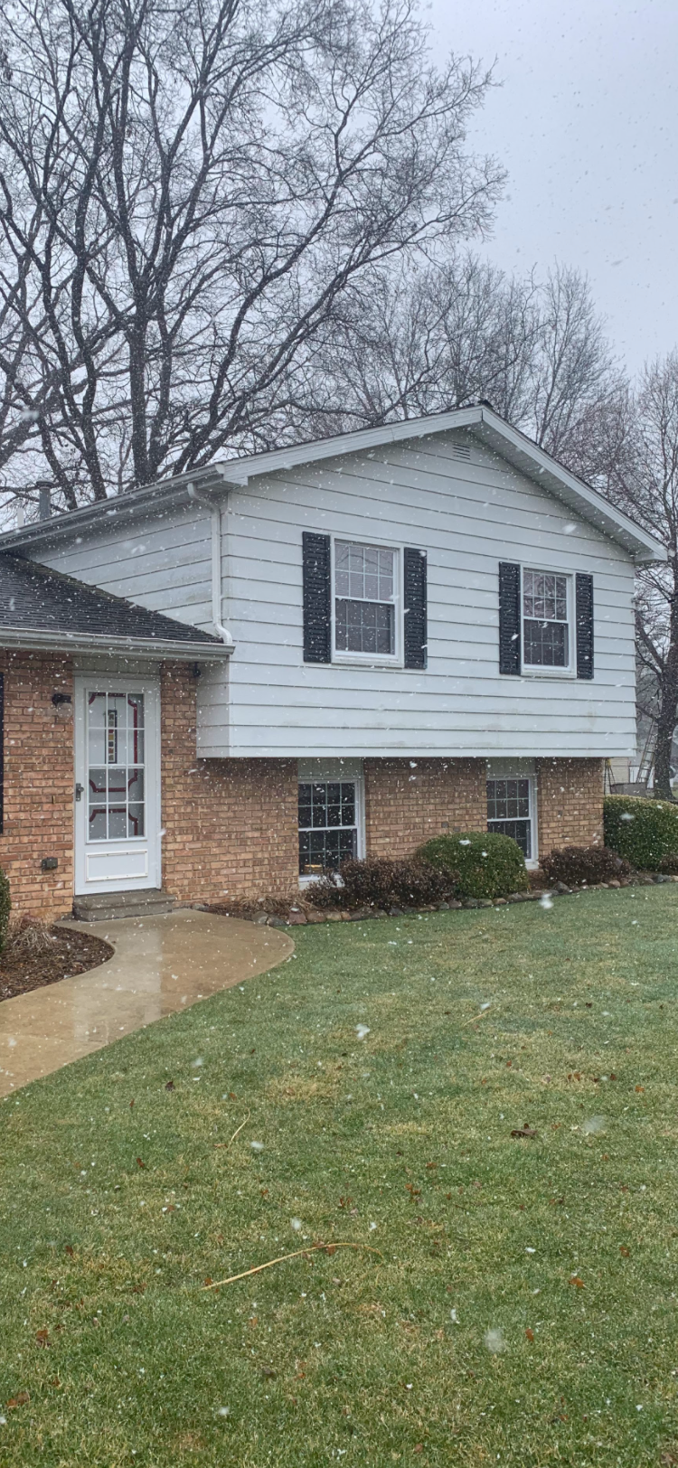  for Staib & Son Painting & Decorating Llc. in Jackson, MI