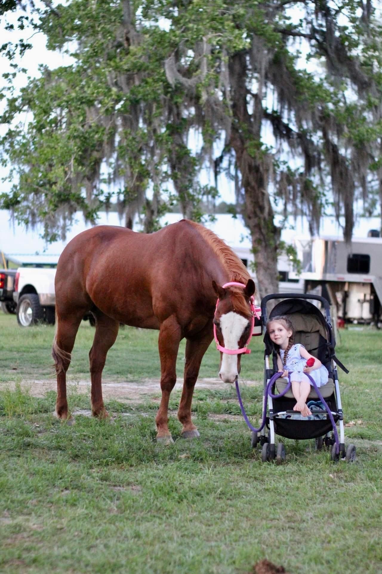  for Florida Native Equestrian Development in Central Florida, FL