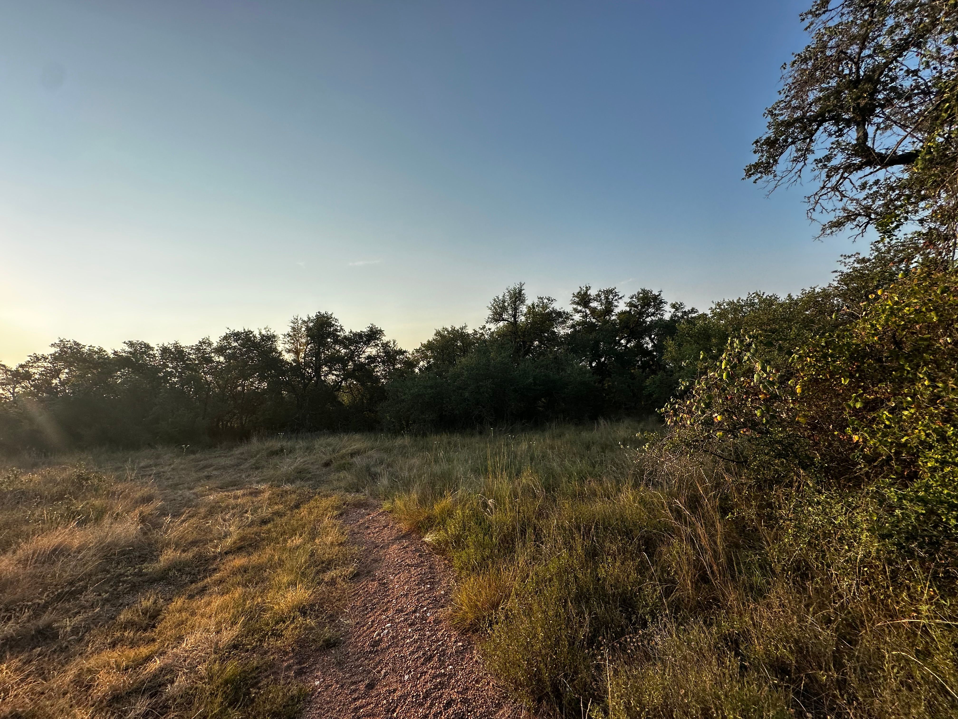  for 512 Land Clearing in Blanco County, TX