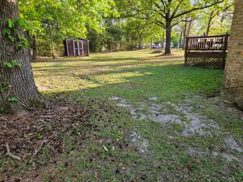  for Just Mow and Go Lawn Service in New Bern, NC