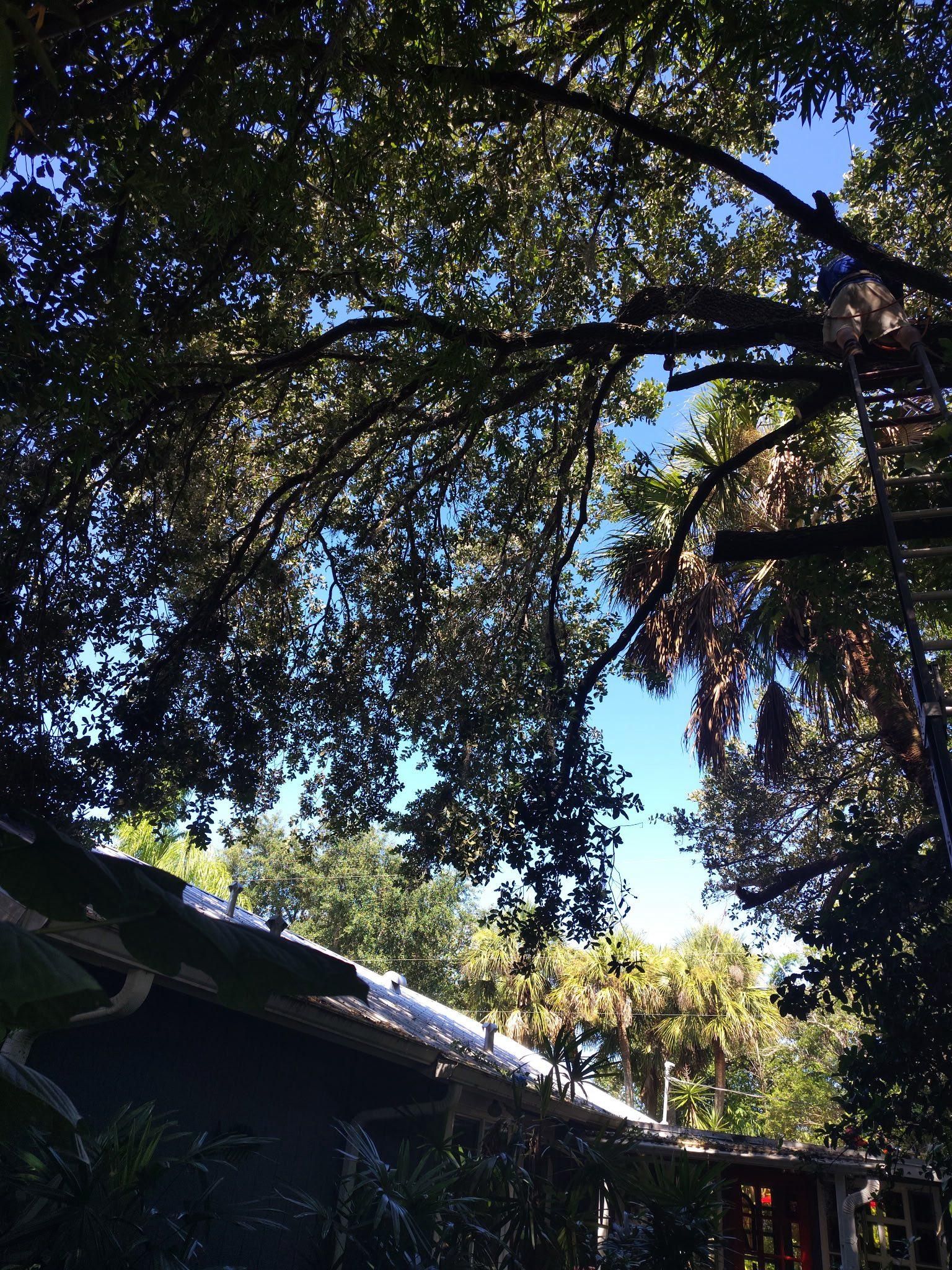  for Nick of Time Tree Service in North Port, FL