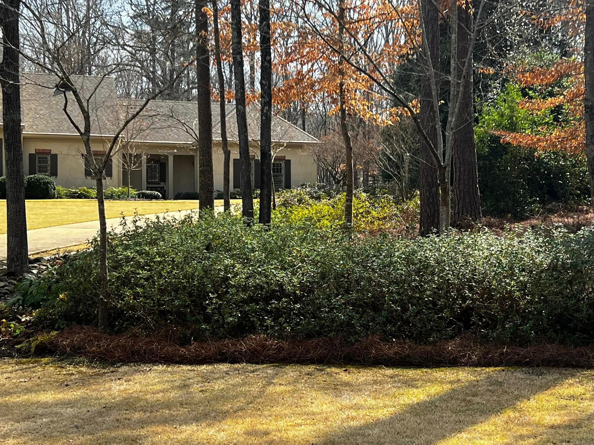  for Reg's Lawn Care Services in LaGrange, GA