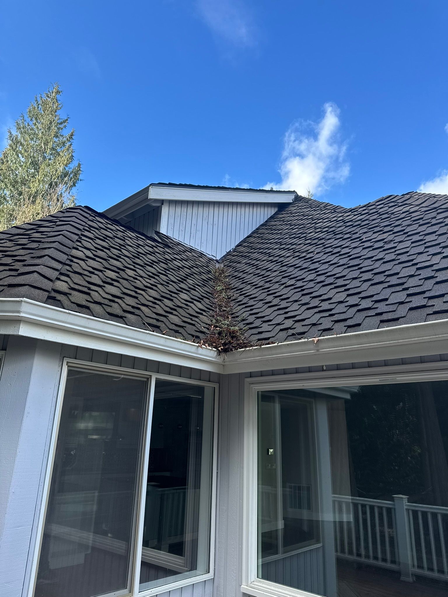  for Tony's Remodeling & Painting in Renton, WA