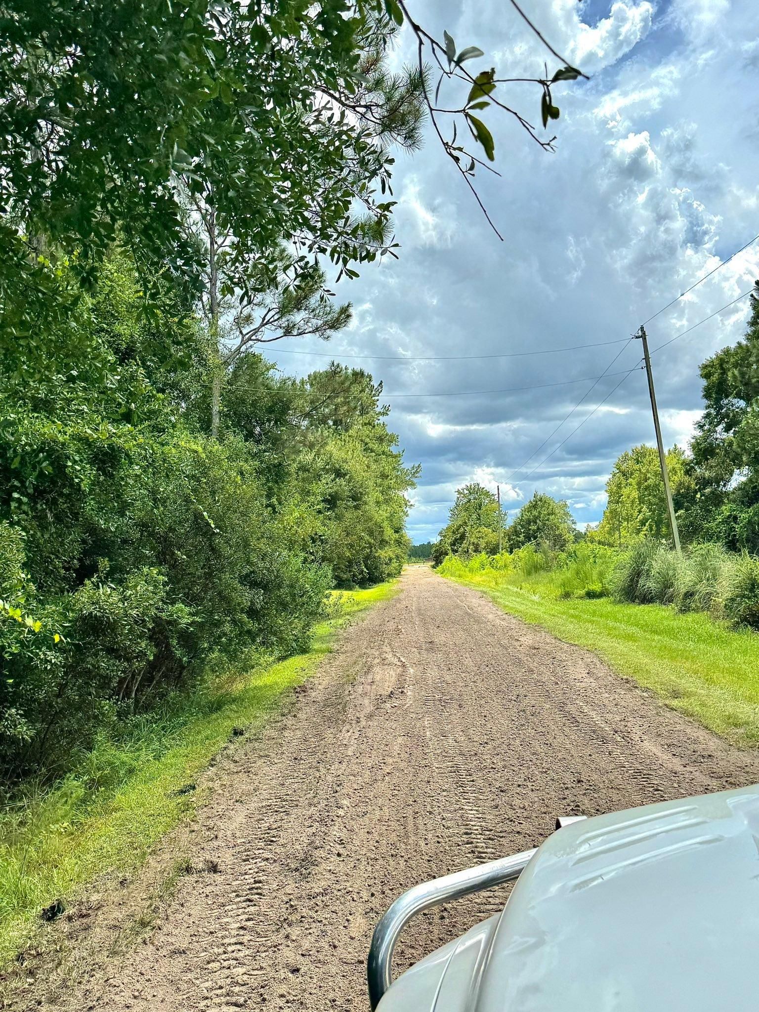  for DLC Land Clearing in Glen Saint Mary, FL