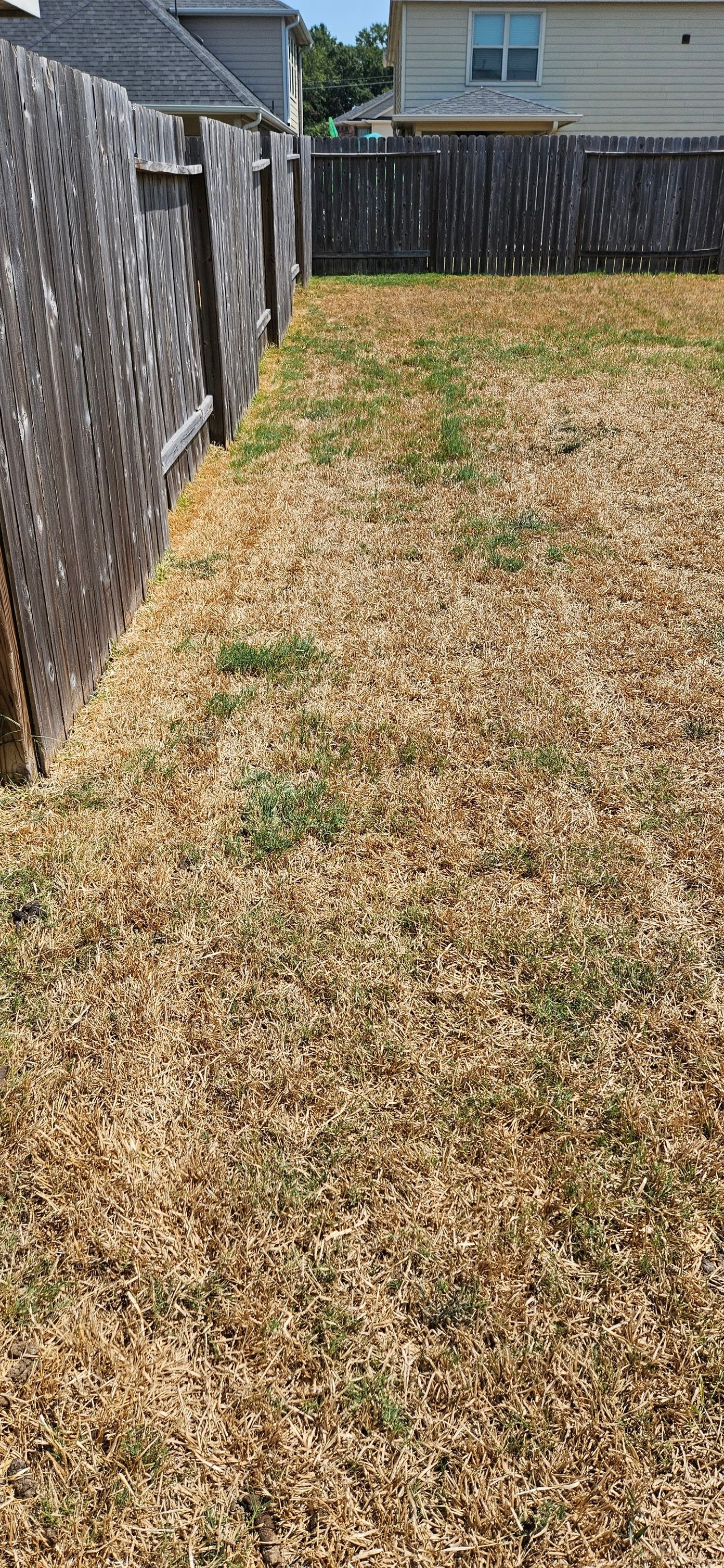 All Photos for Gulf-Tex Lawn Care in Baytown, TX