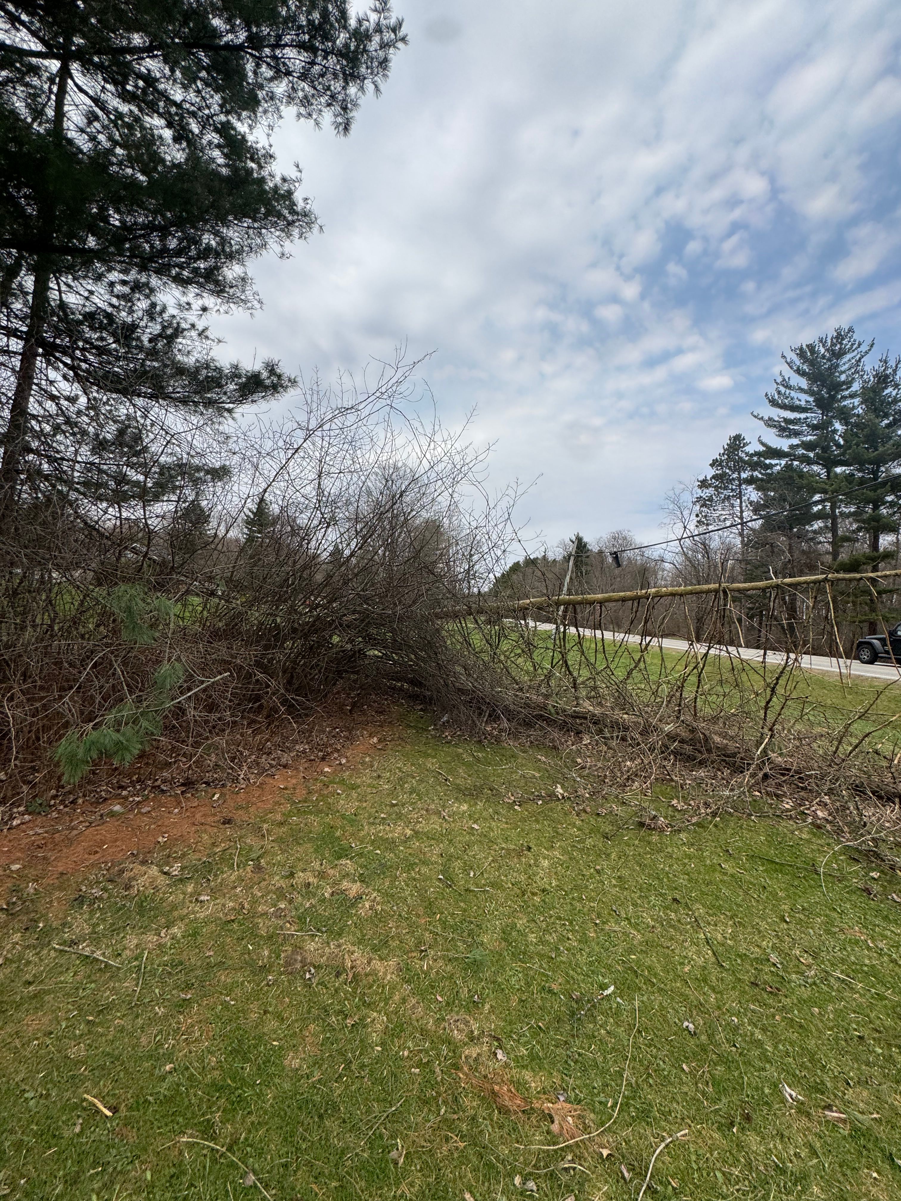  for McKenzie's Landscaping LLC in Shelby, OH