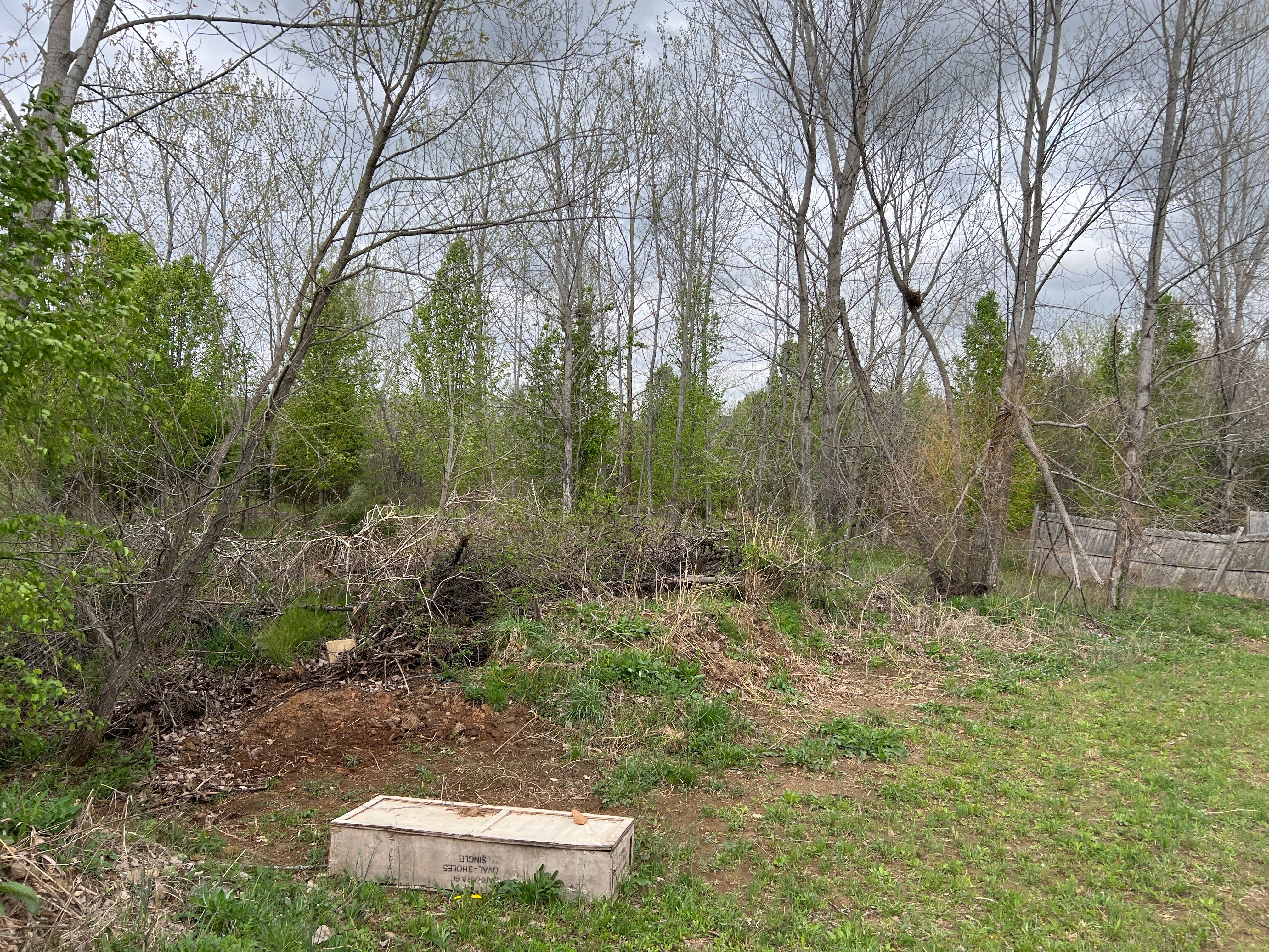 All Photos for Michael Way Acres in Woodlawn, TN
