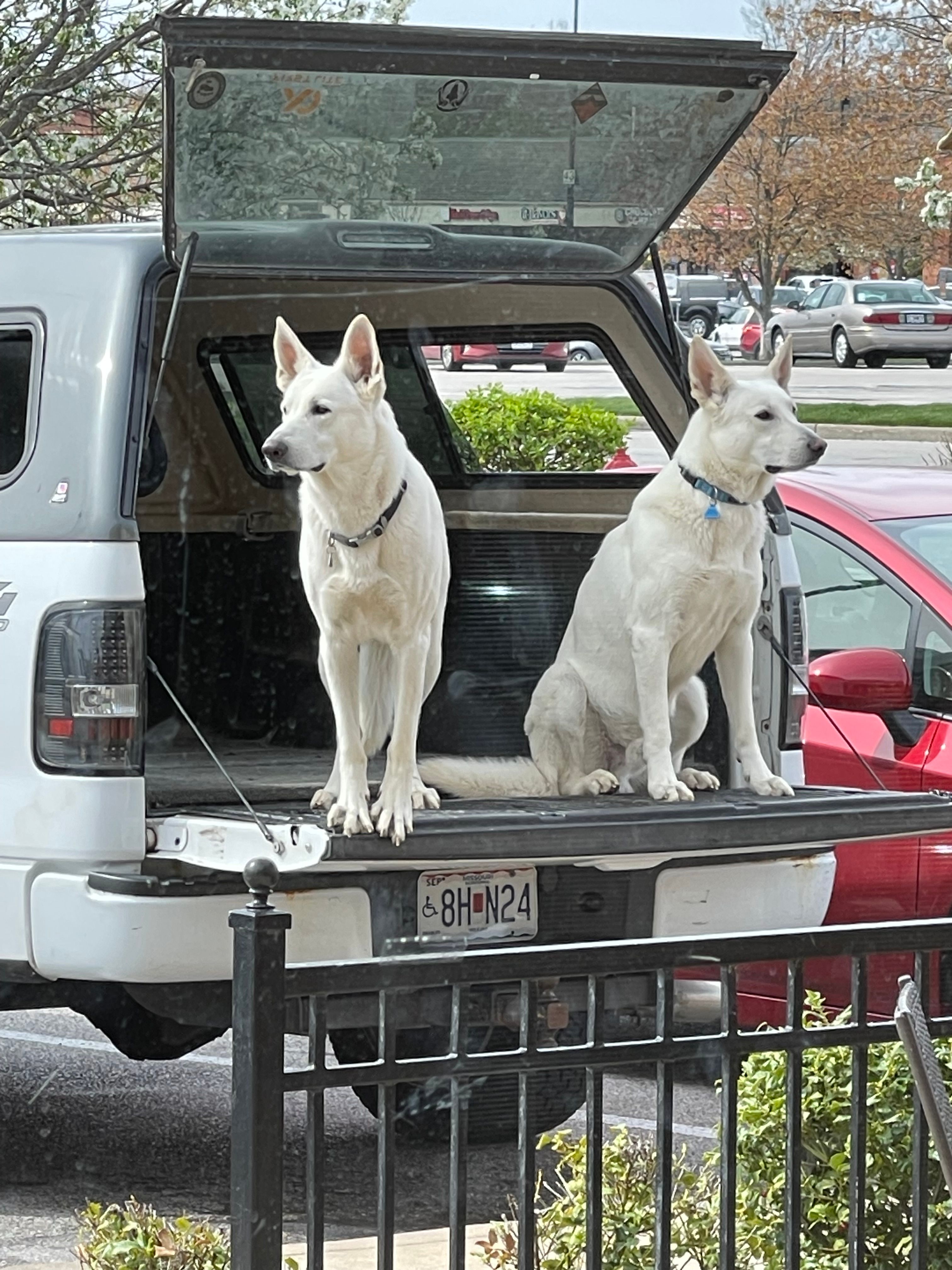  for See2it Clean in St Louis, MO