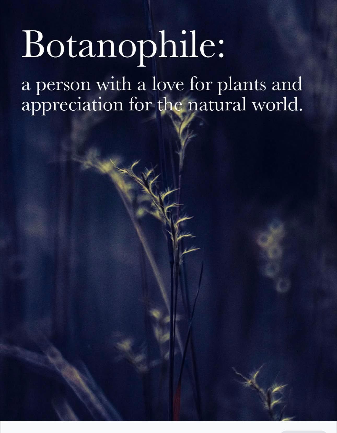  for The Dailey Daisy in Hardwick, VT