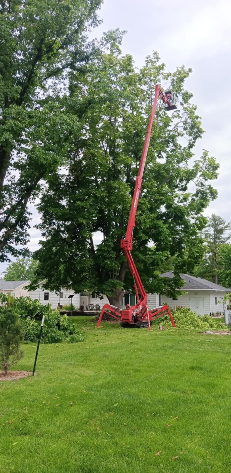  for Lawn Ranger Yard And Tree Service LLC in Ottumwa, IA
