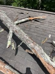  for Chipper's Tree Service  in Fort Payne, AL