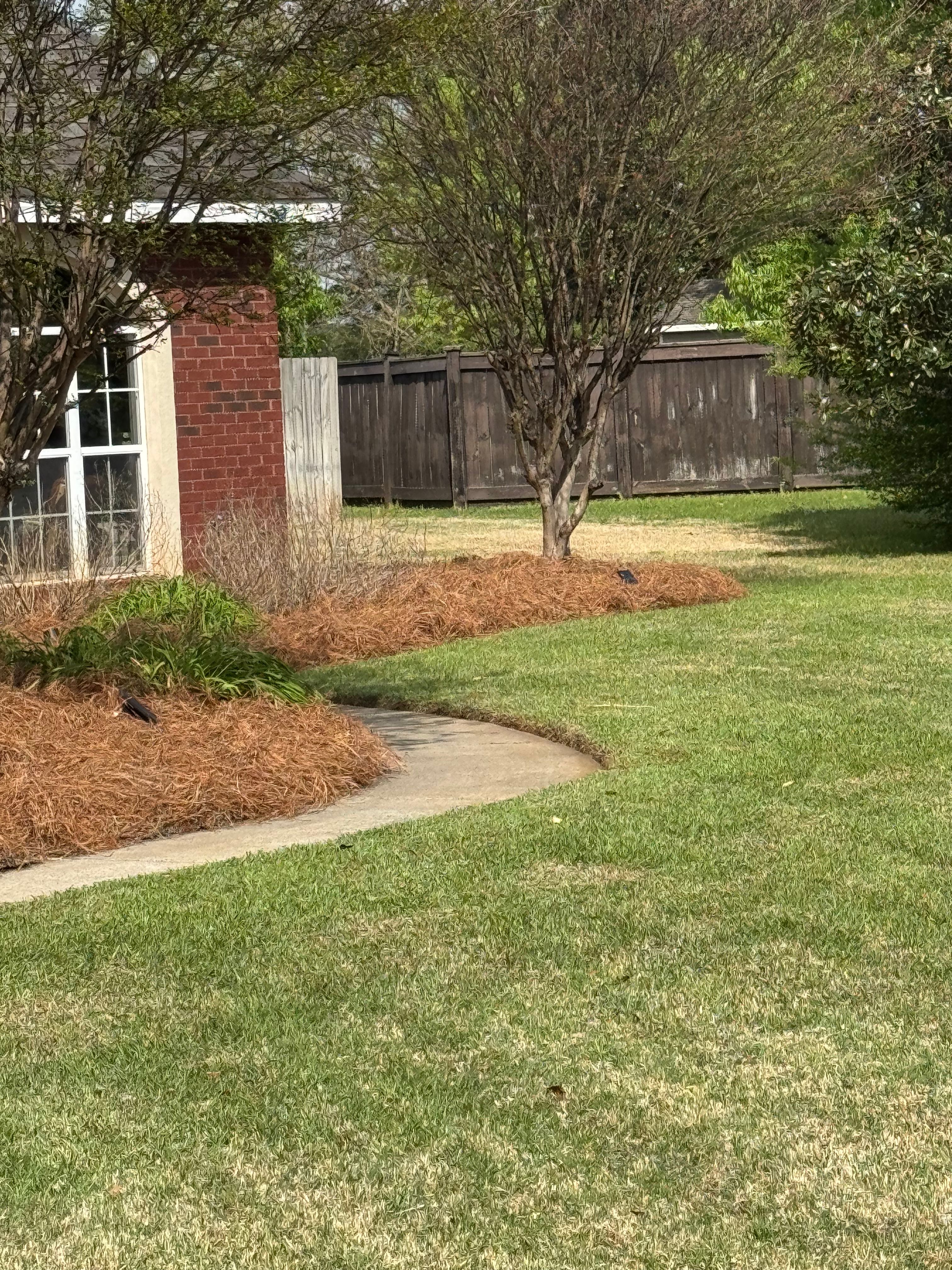 All Photos for Camalett Services in Perry, GA