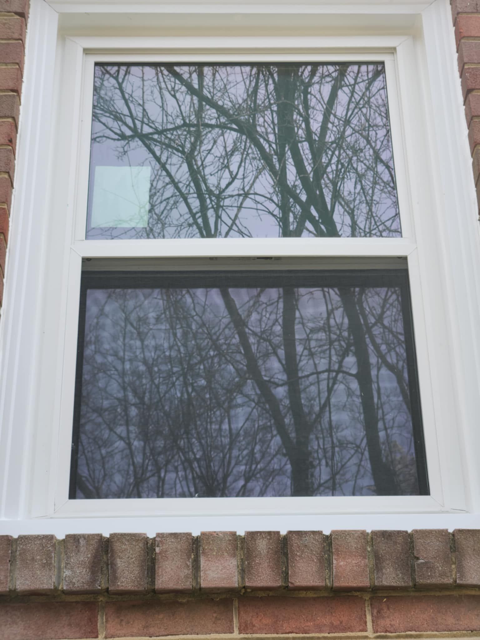  for TRI in Waldorf, MD