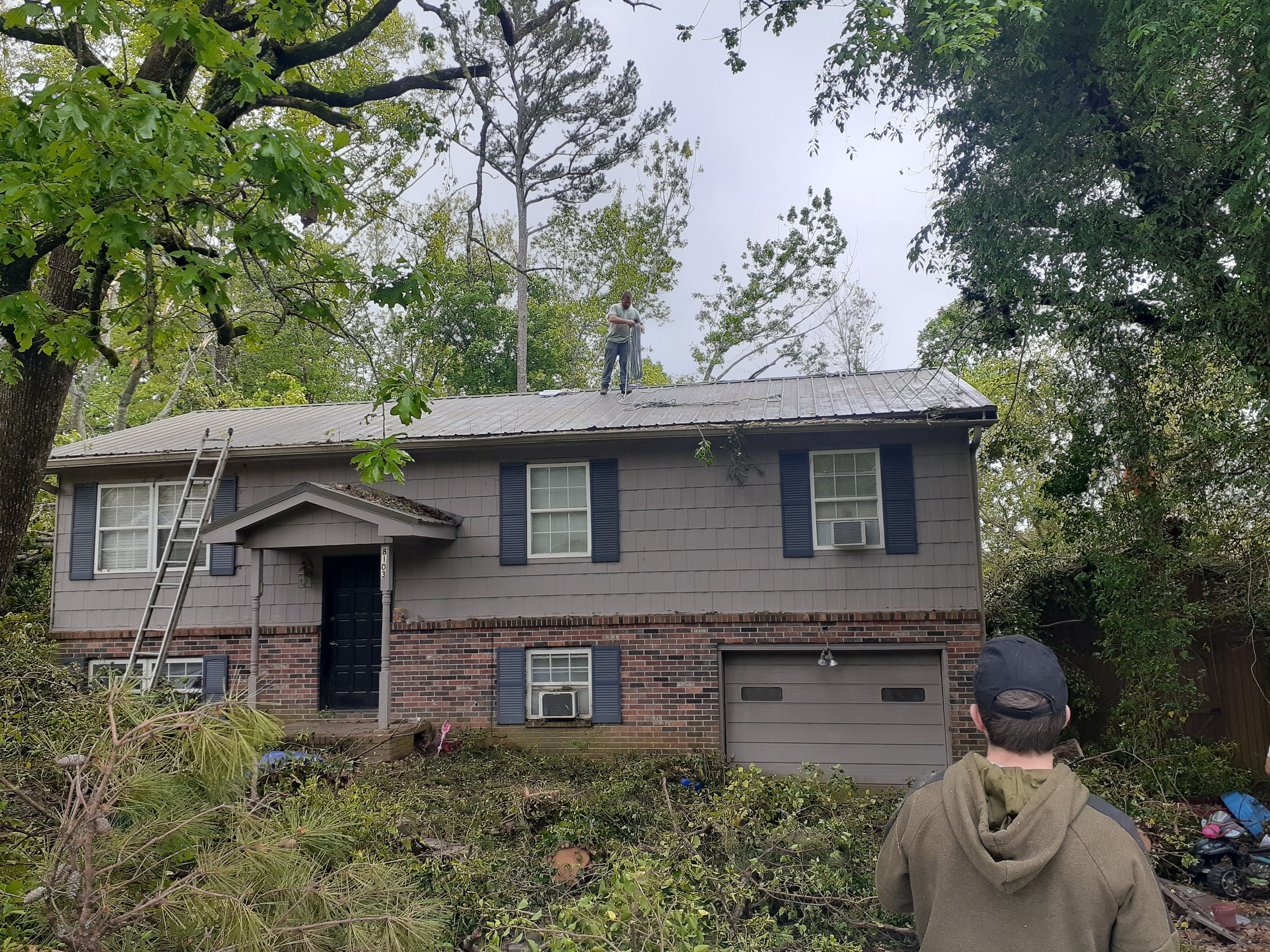  for Professional Tree Service USA in Chattanooga, TN