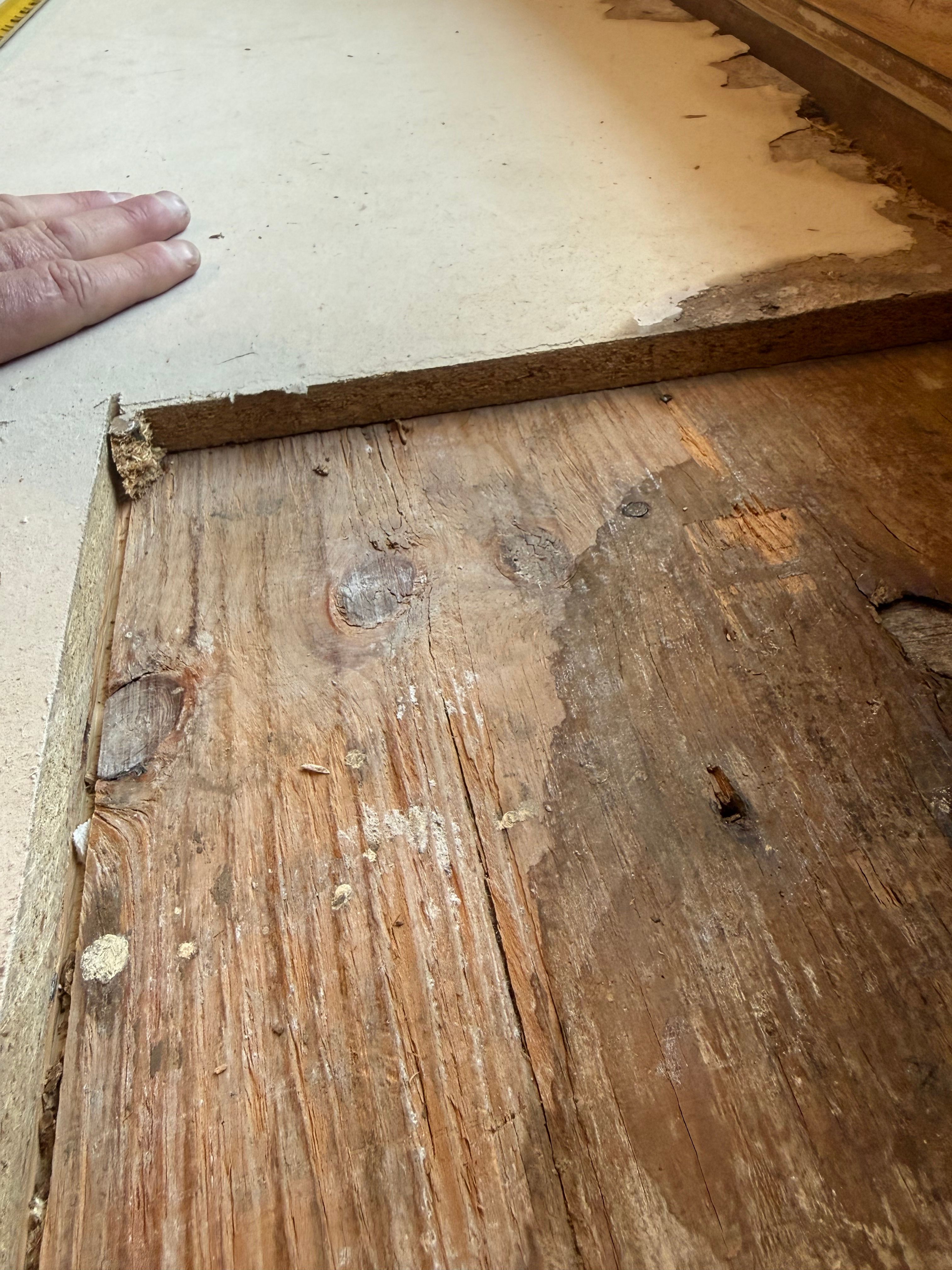 All Photos for Immaculate Concrete and Construction in Troy, IL