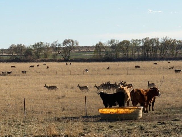  for Fair Weather, Inc in Rocky Ford, CO