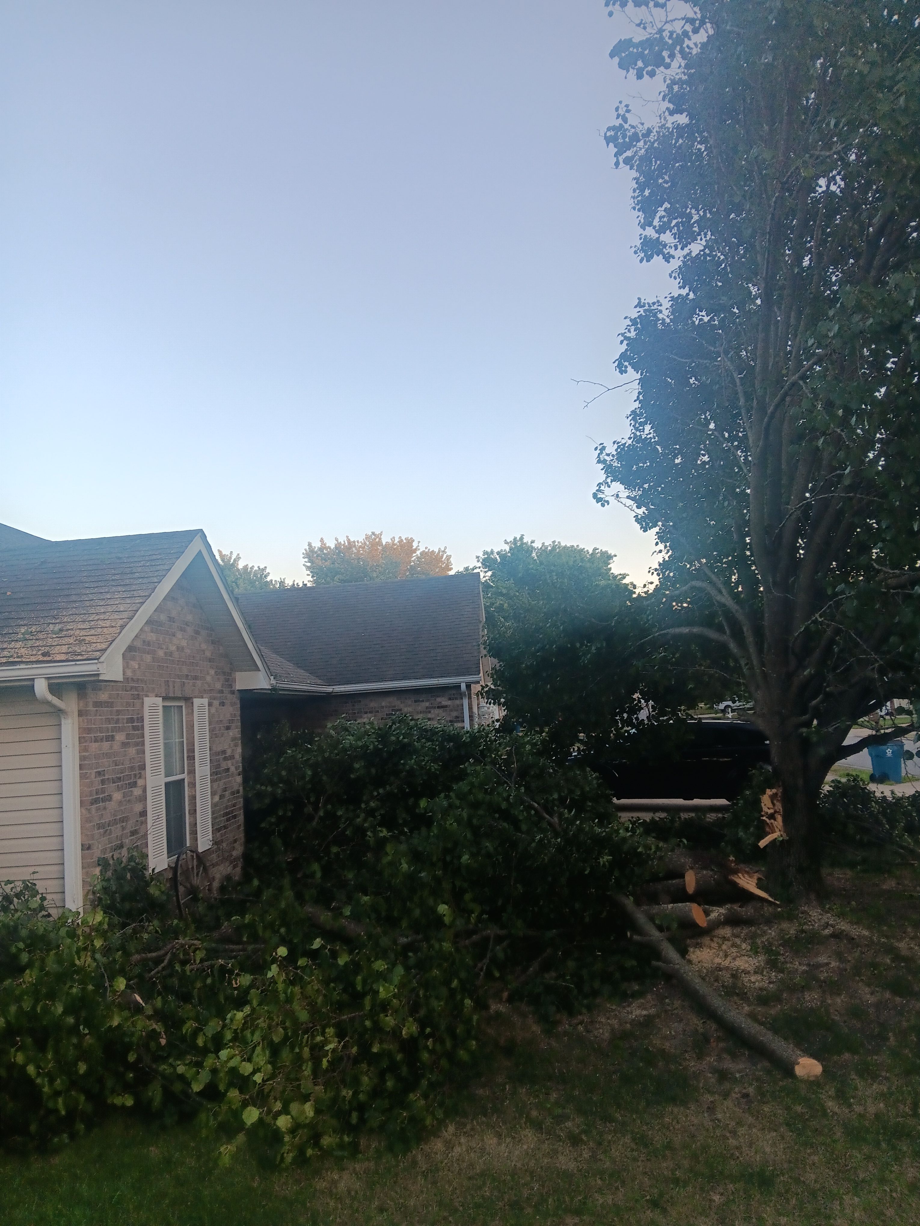 for Sky High Tree Service in Columbia, MO