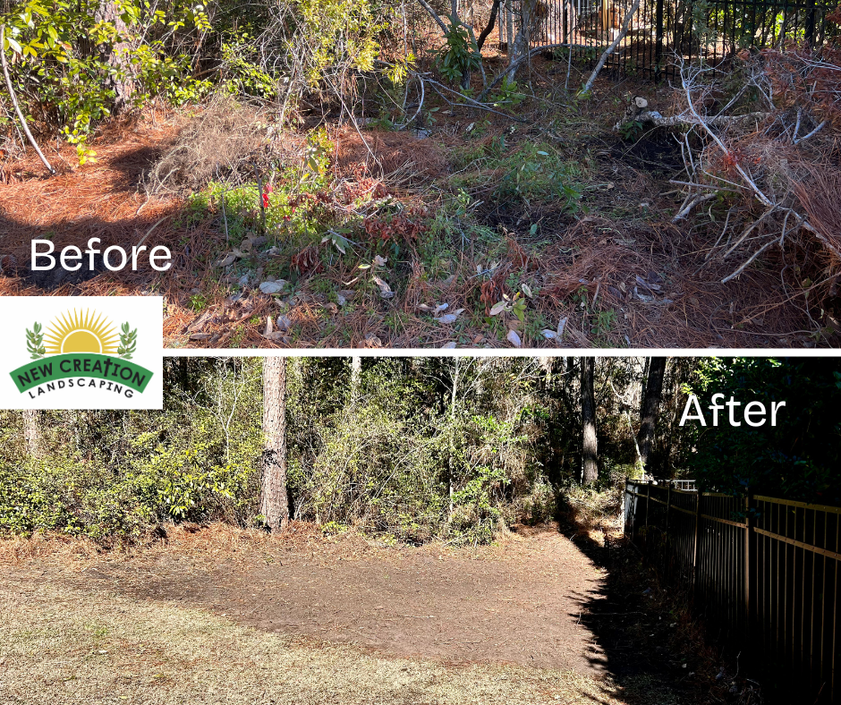  for New Creation Landscaping in Myrtle Beach, SC