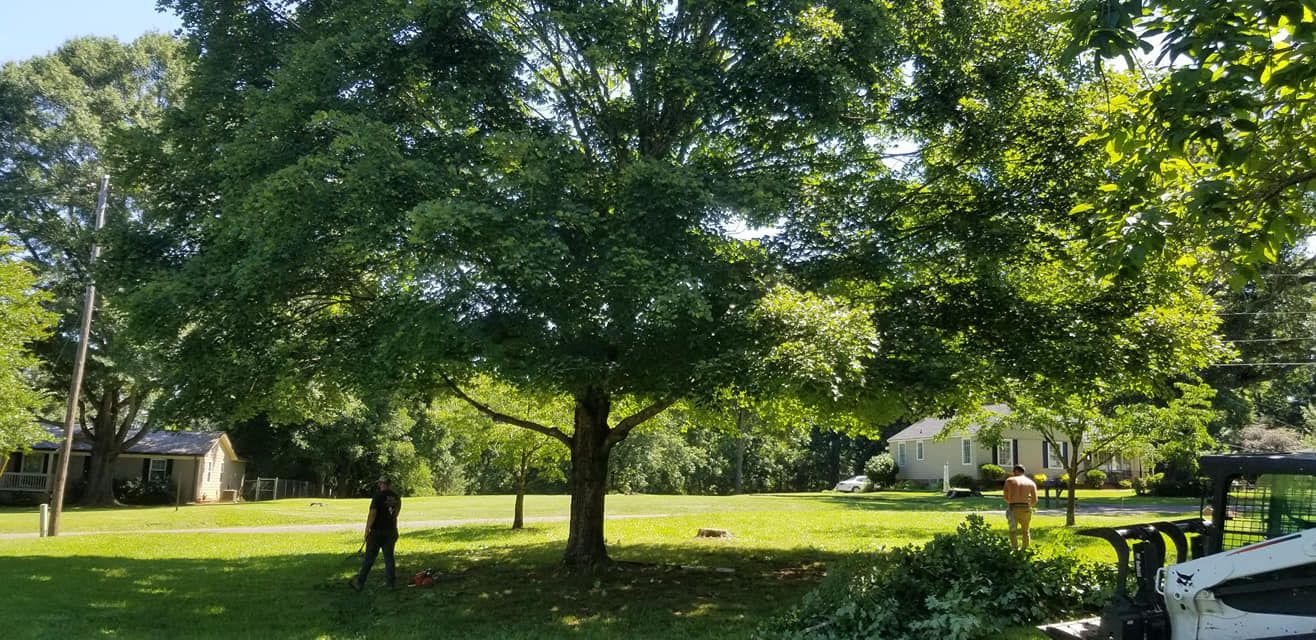  for DNA Tree Service in Birmingham, AL