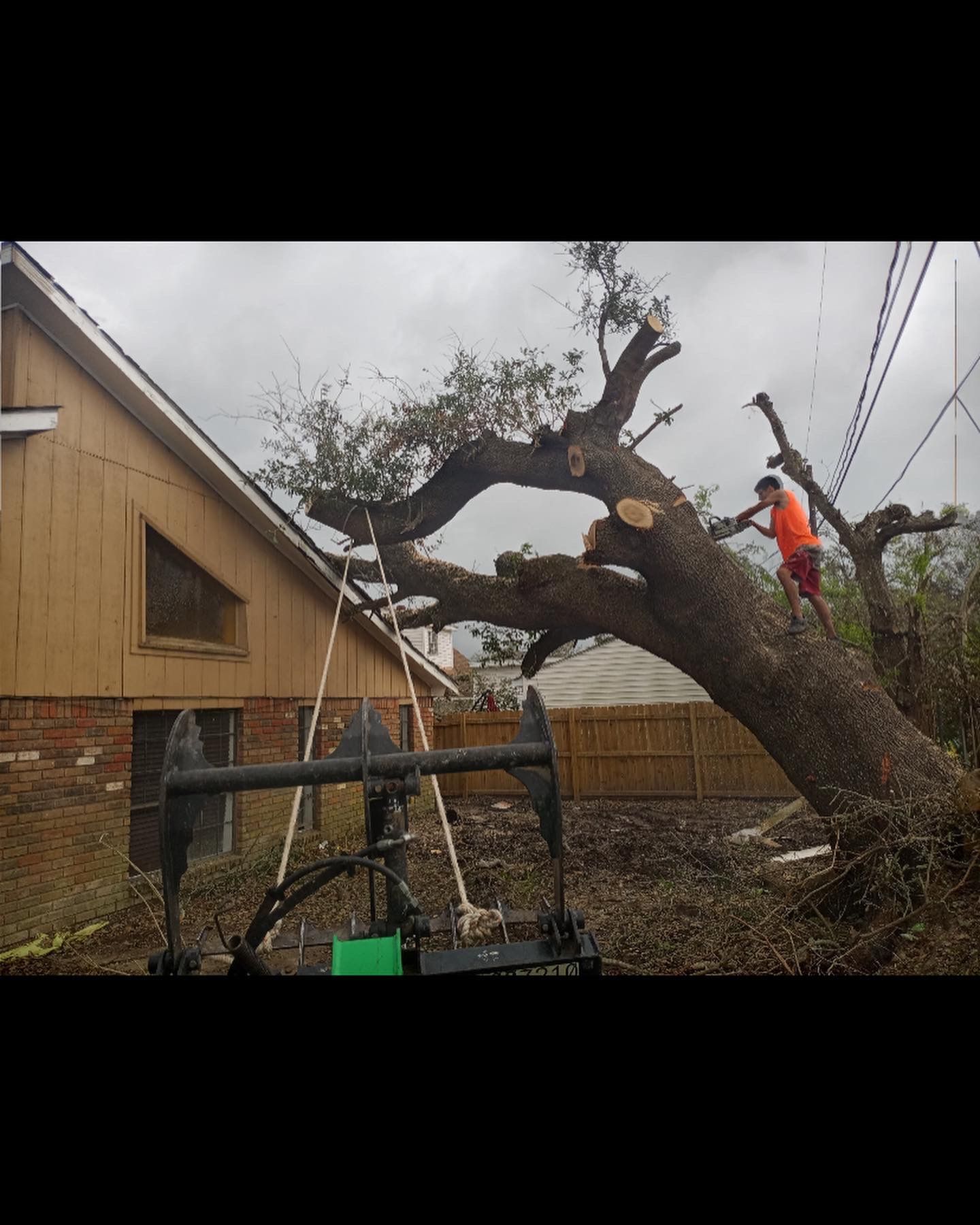  for Professional Tree Service USA in Chattanooga, TN