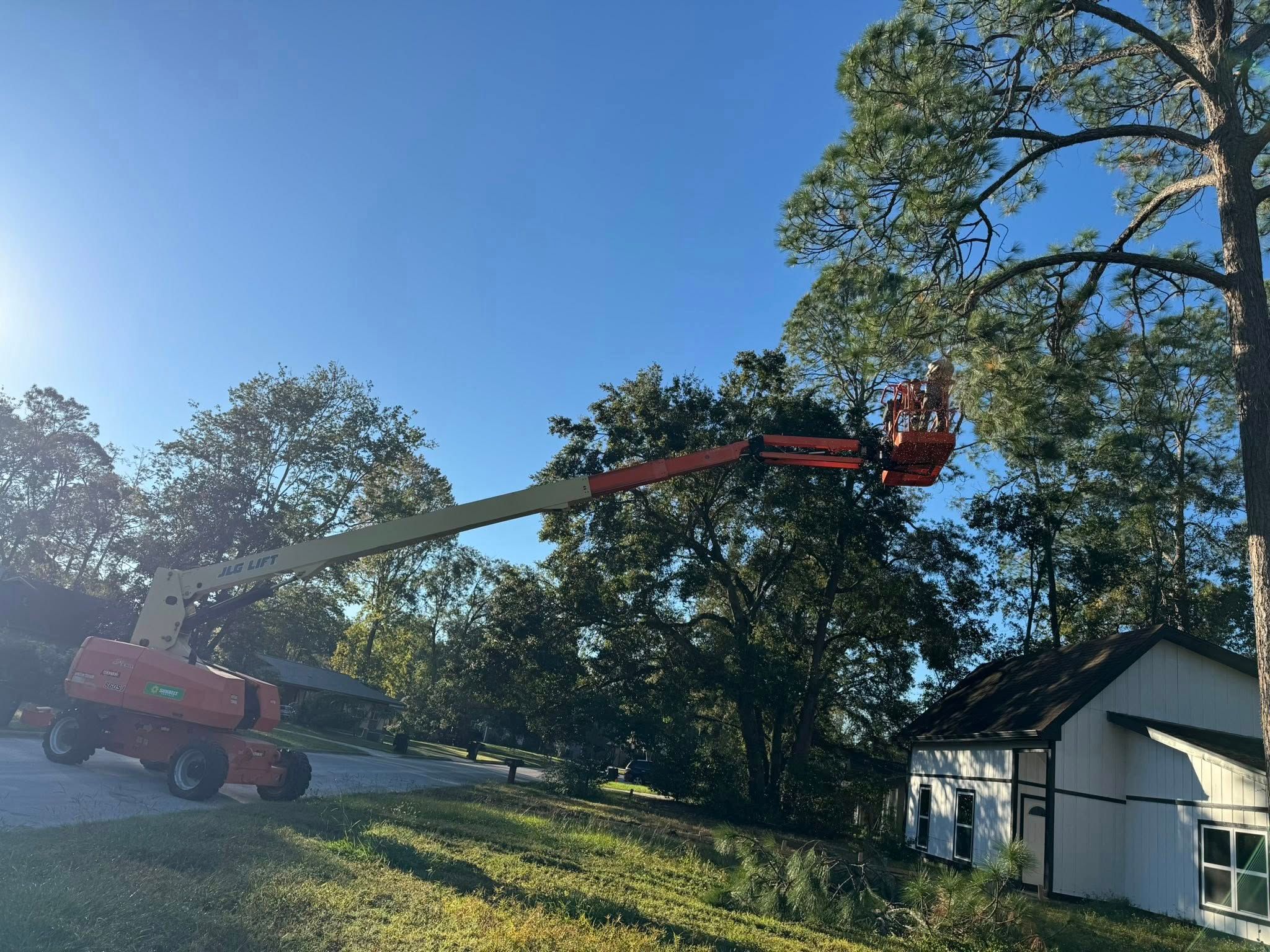  for All Seasons Tree Service and Land Works in Trenton, FL