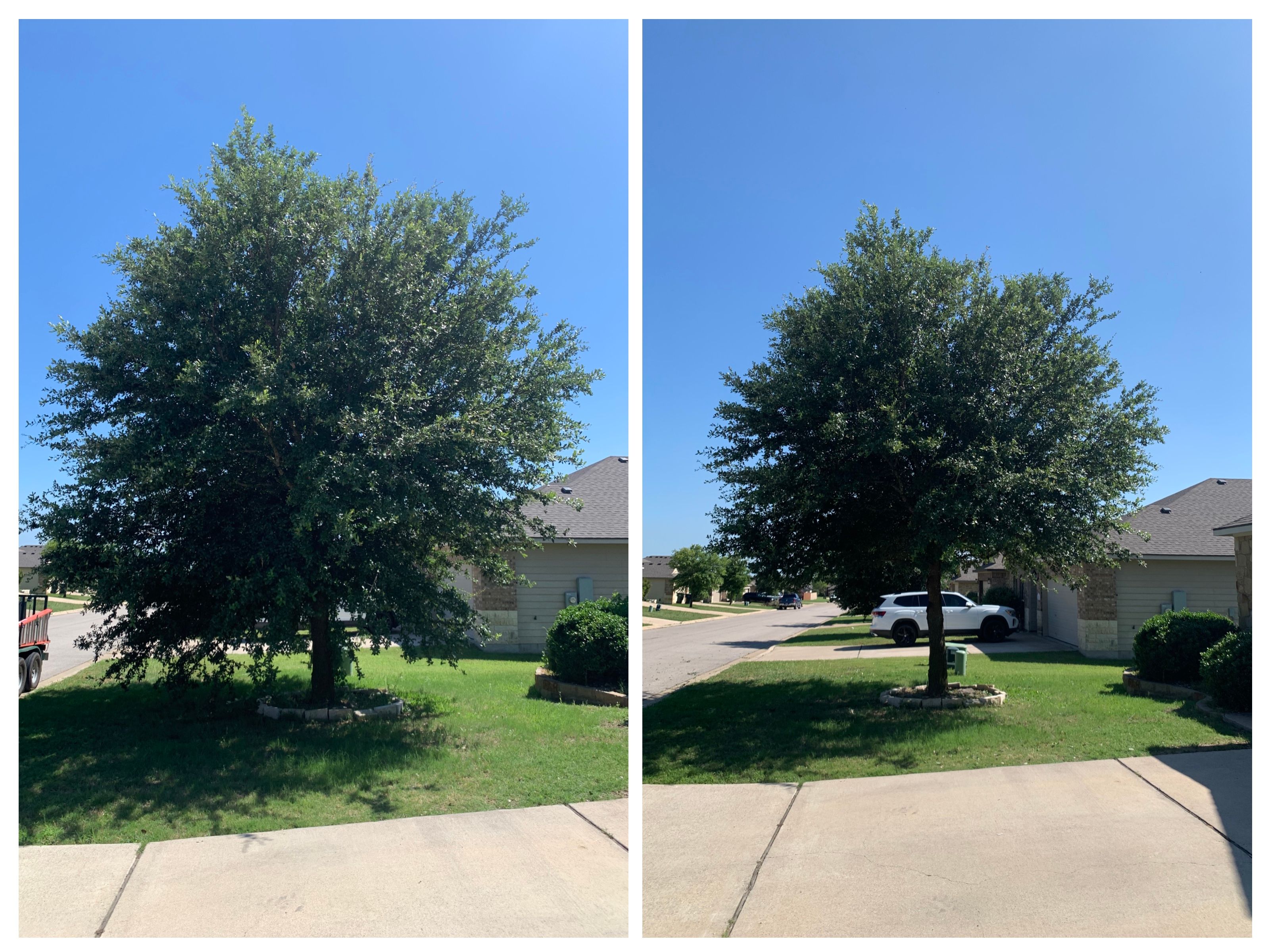  for Scalpel Lawn Service in Temple, TX