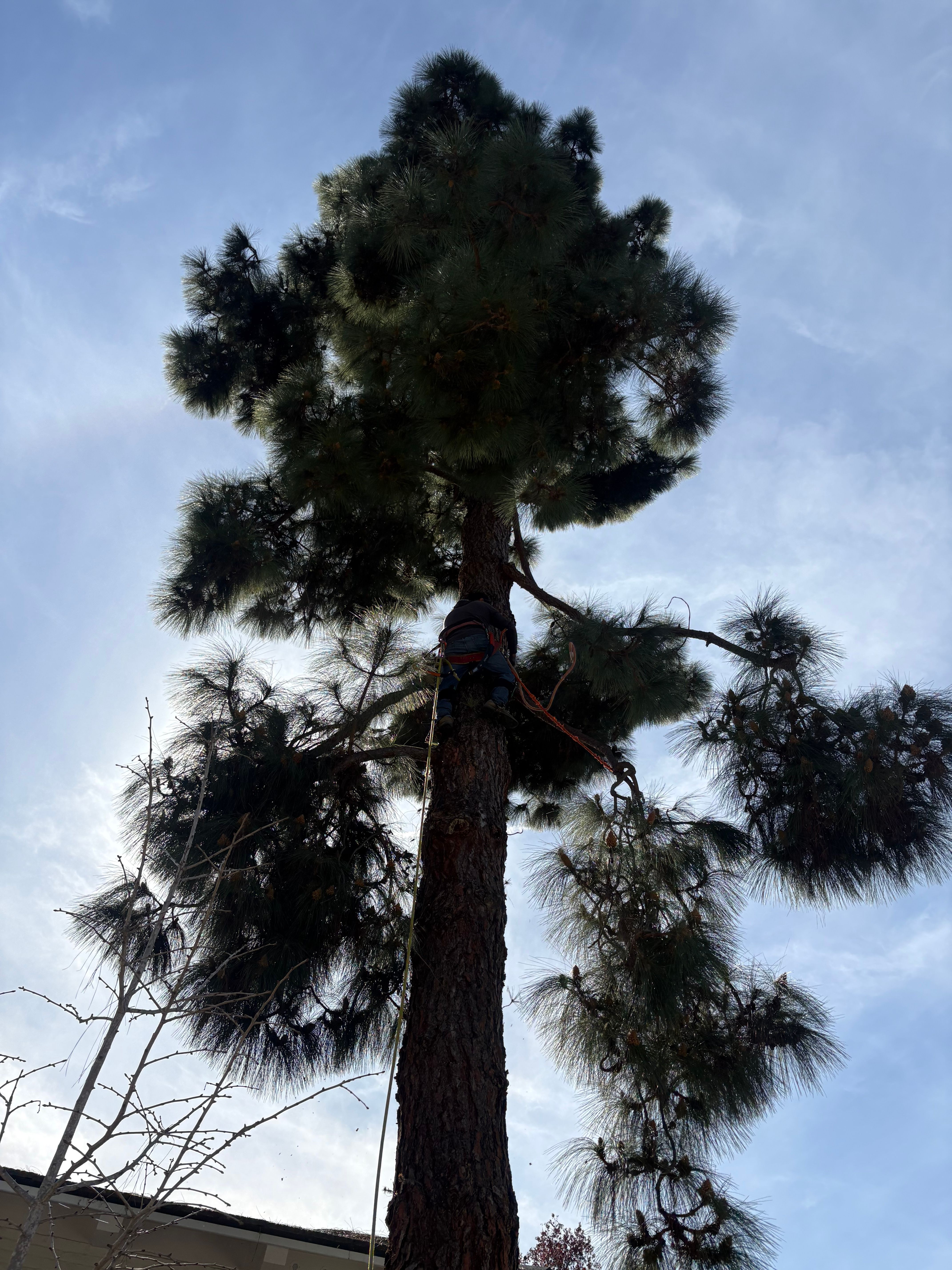  for Herreras Land Service in San Diego, CA