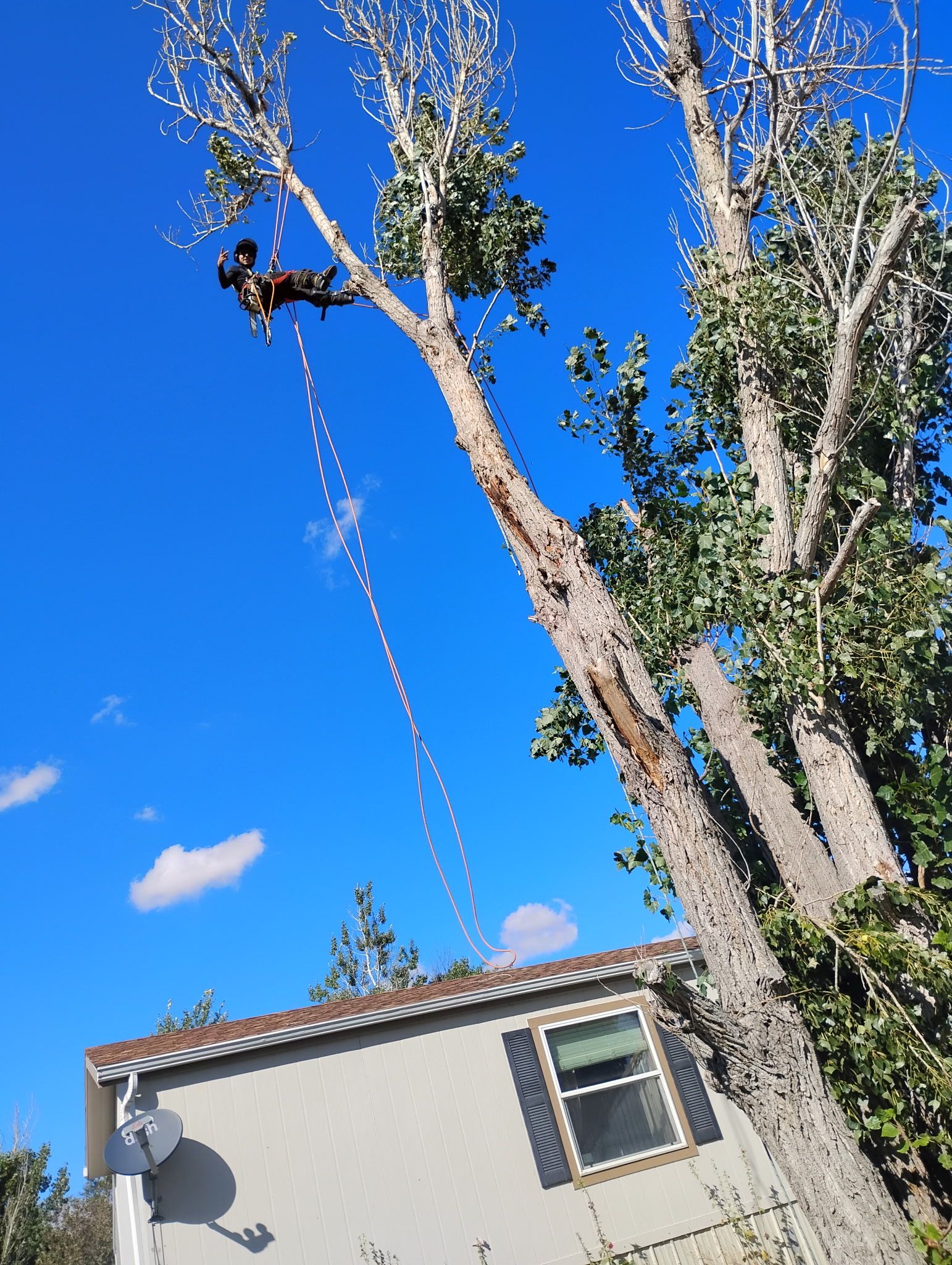  for Elevated Tree Care in Gillette, WY