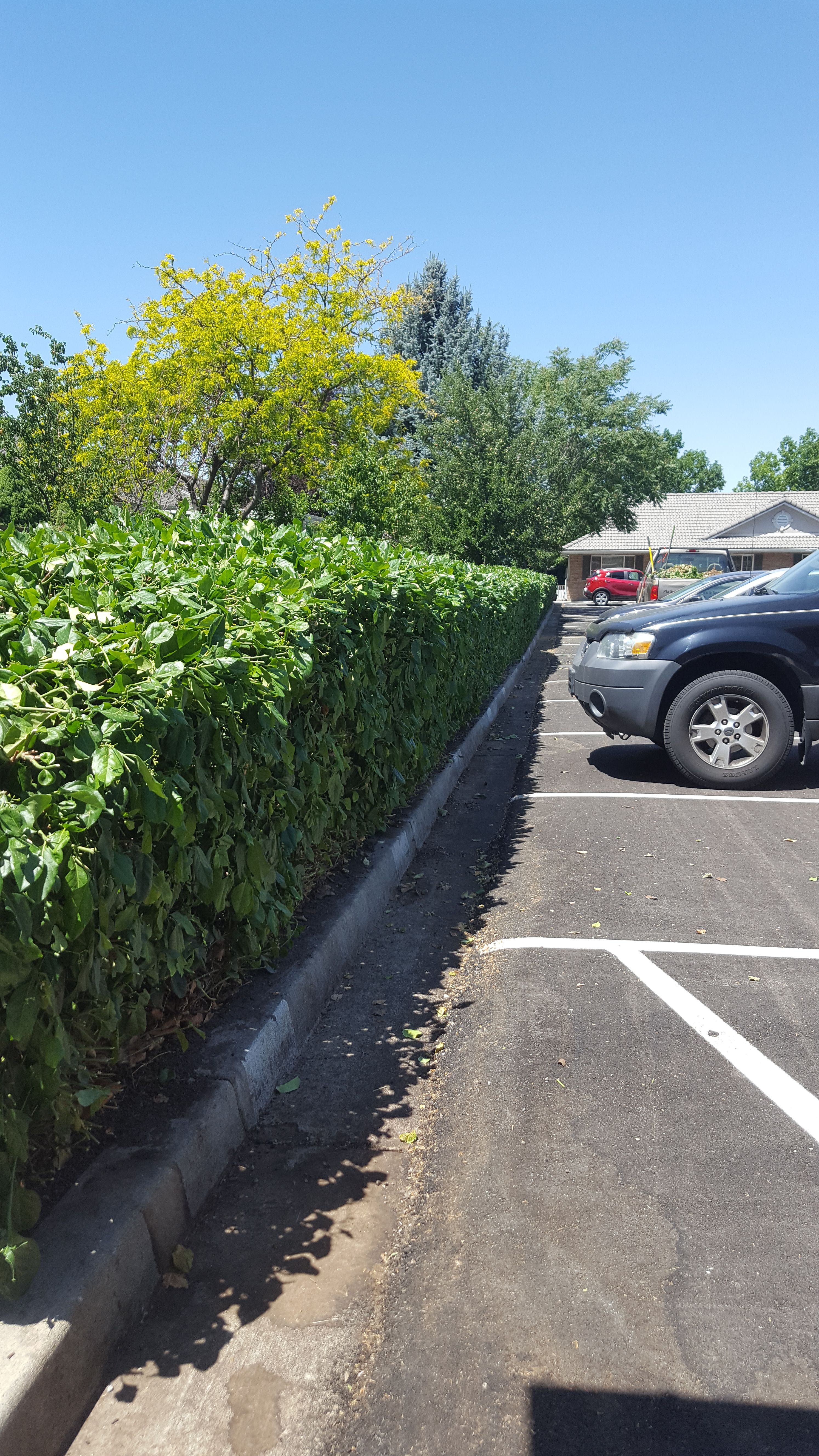  for Platinum Lawn Service in Santaquin, UT